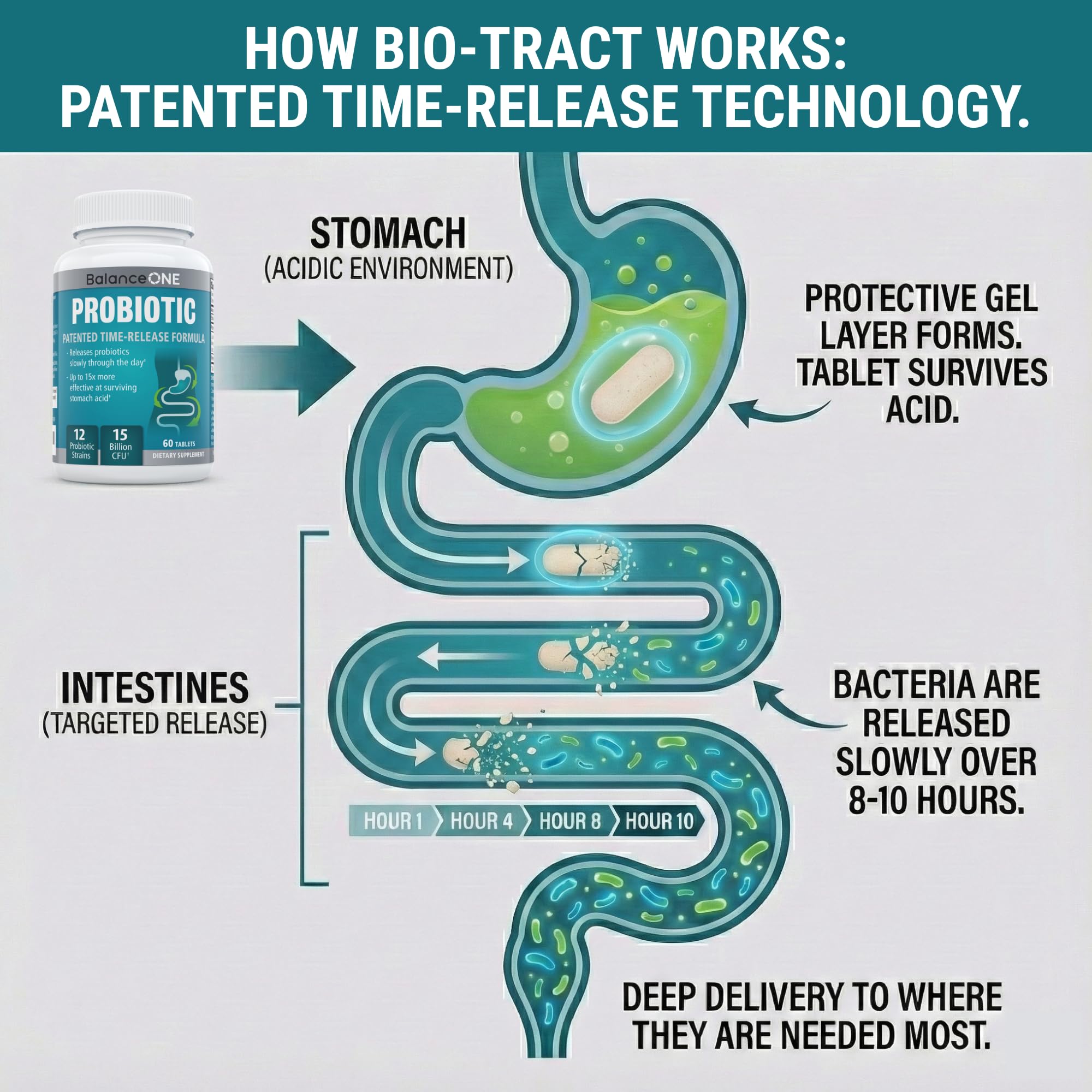 Balance ONE Time Release Probiotic – 15 Billion CFU – 12 Strains Including L. Plantarum – 15x More Survival Than Capsules – Bloating & Gas Relief – Gut & Digestive Health for Women & Men – 60 Tablets Balance ONE Au supplements