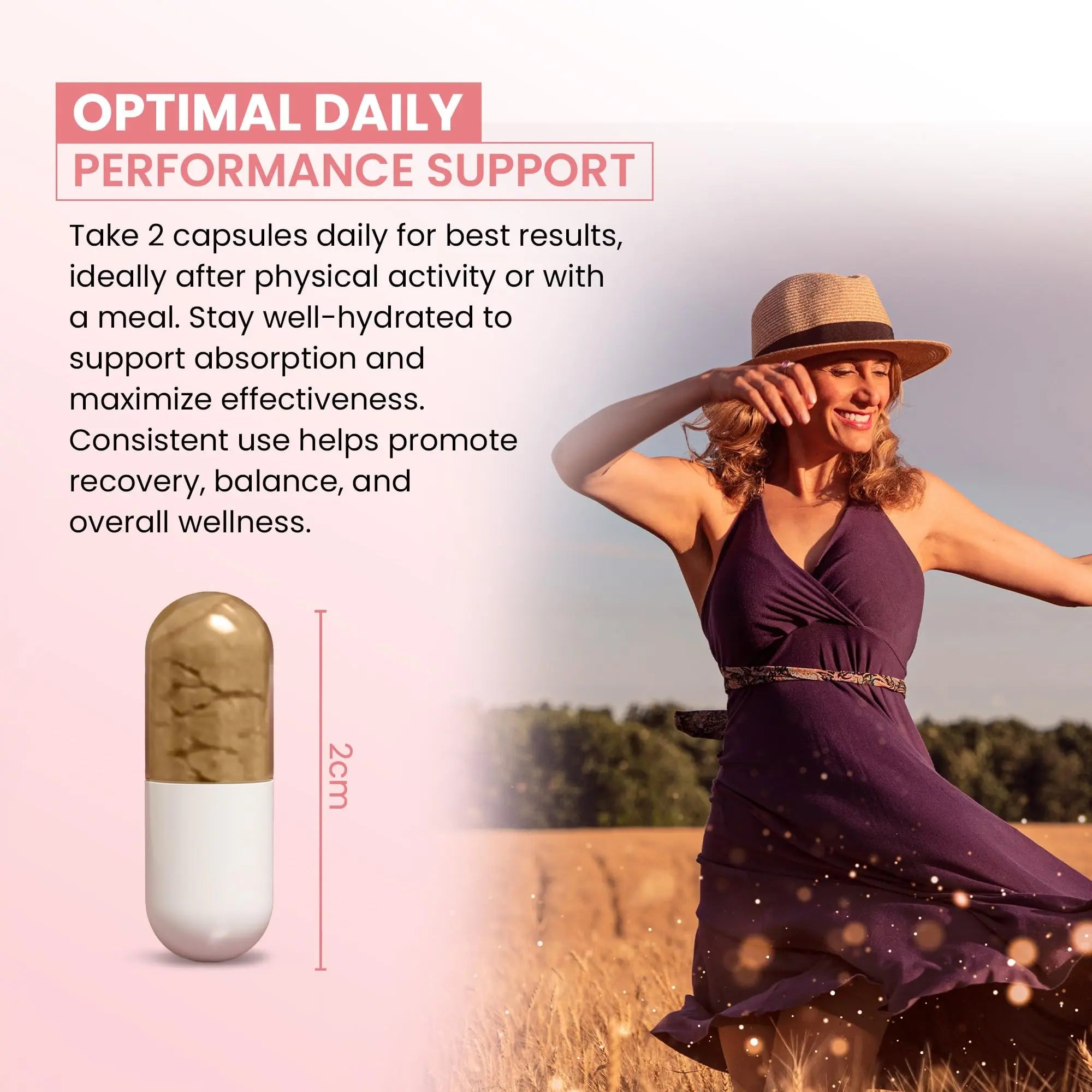 ZEN LIFE HERB UTFREx – Fast Acting - Promotes Urinary Tract Health Supports Healthy Immune and Urinary System, No Vitamins, Minerals, Prebiotics, Sugar, Plant-Based Supplement (60 Capsules) ZEN LIFE HERB Au supplements