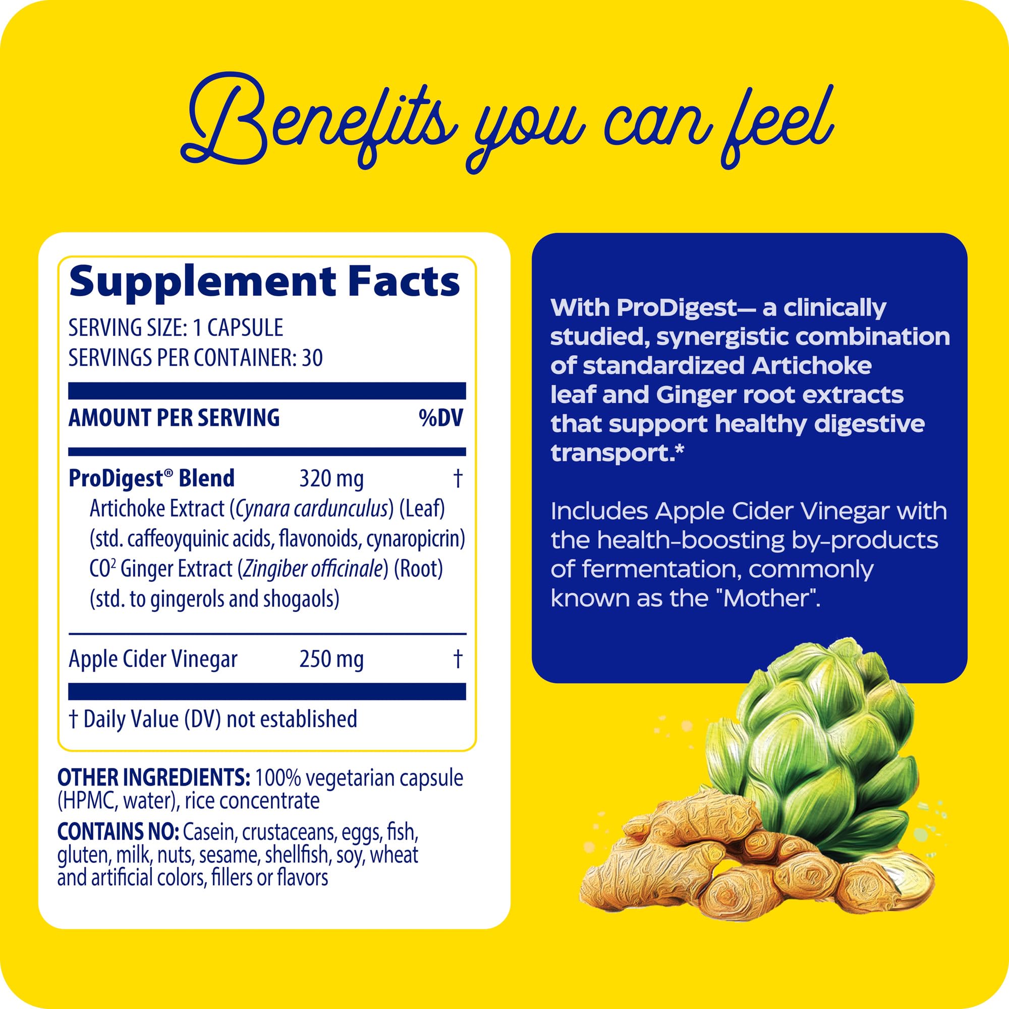 Enzymedica Gut Motility Supplement for Men & Women - Apple Cider Vinegar Capsules with Artichoke & Ginger Extract, Digestive Health Support for Adults
