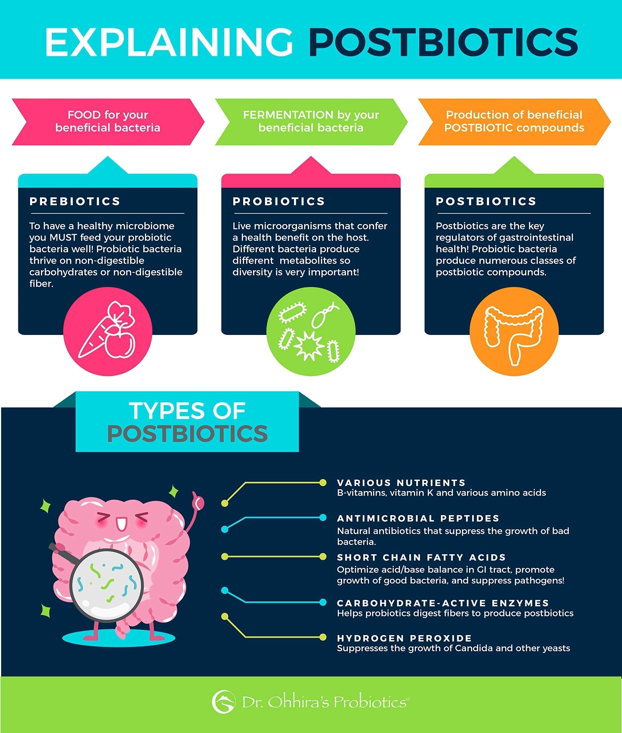 Essential Formulas Dr. Ohhira’s Probiotics Professional Formula with 5 Year Fermented Prebiotics, Live Active Probiotics and The only Product with Postbiotic Metabolites, 60 Capsules Essential Formulas Au supplements