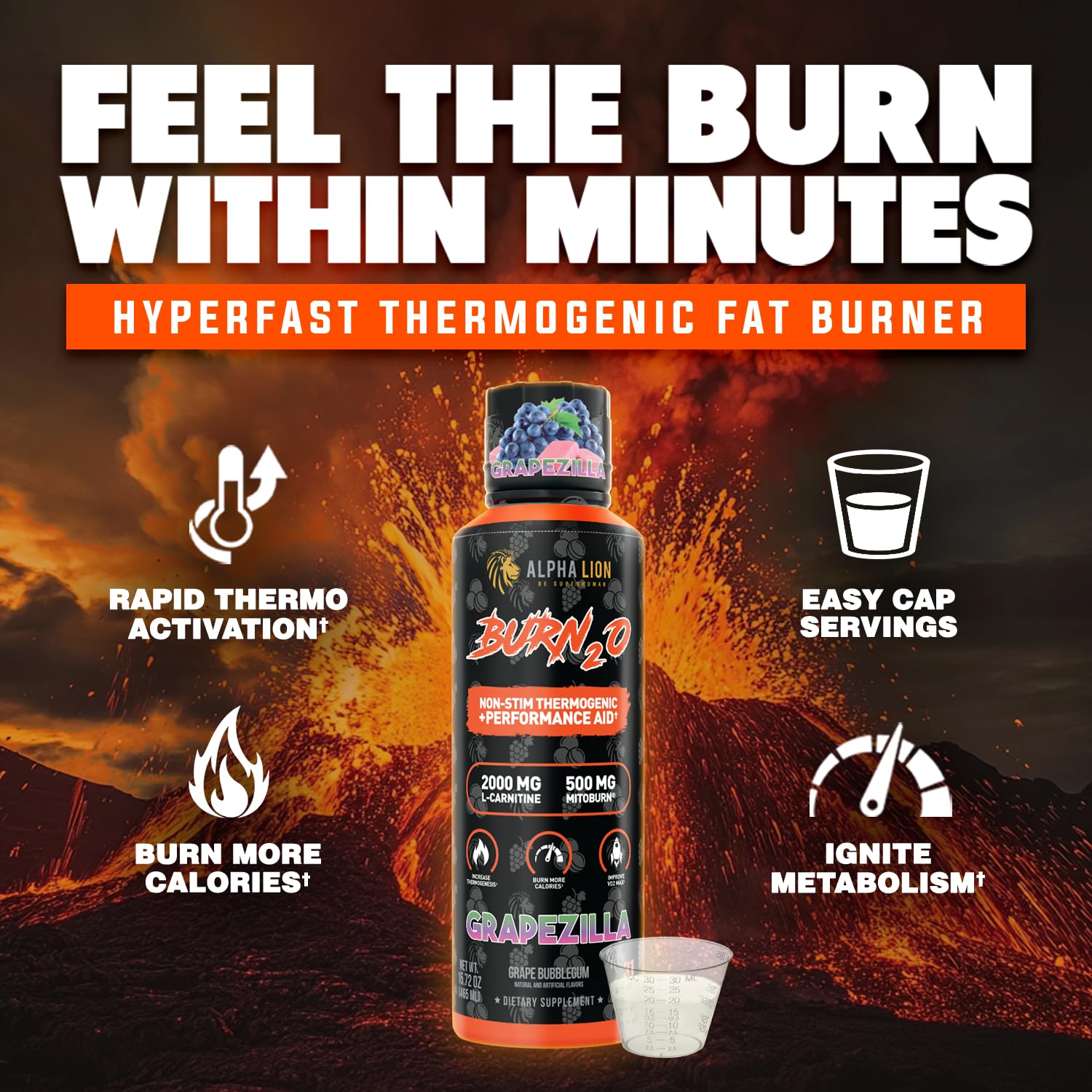 ALPHA LION Burn2O L-Carnitine Liquid 2000mg – Stim Free Super Thermogenic Fat Burner with MitoBurn® & CaloriBurn GP®, Metabolism Booster, Zero Calorie