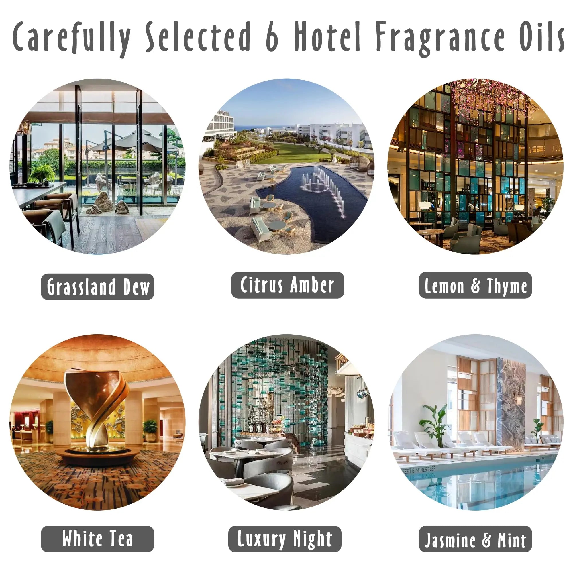 Fragrance Oils, MitFlor Hotel Collection Diffuser Oil for Home, Soap & Candle Making Scents MitFlor Au supplements