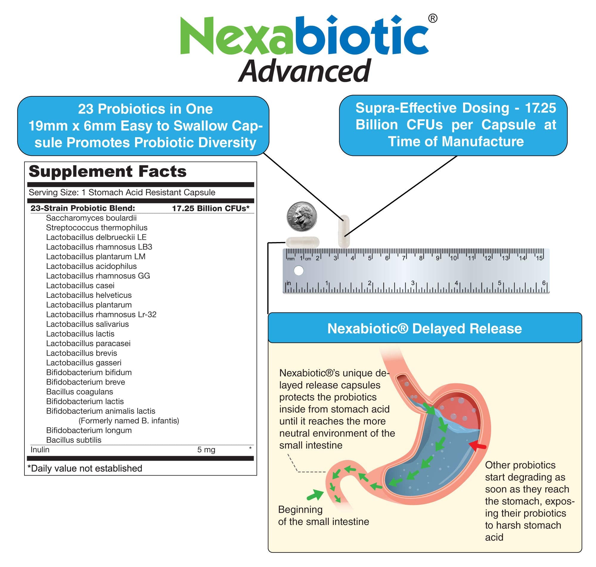 DrFormulas Nexabiotic 23 Multi Probiotic for Women and Men - Dr. formulated with Lactobacillus Acidophilus, Bifidobacterium Infantis, Saccharomyces Boulardii, 17.25 Billion CFUs DrFormulas Au supplements