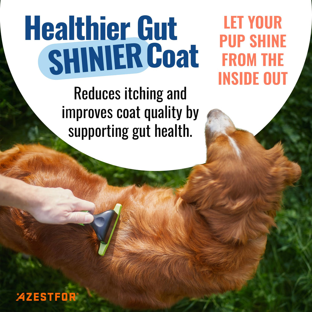 Azestfor Gut Health Supplement for Dogs – 3 in 1 Probiotic, Prebiotic & Postbiotic Blend – Supports Digestion, Immunity & Skin – Easy-to-Use Powder – for All Breeds & Sizes – 60g (30 Servings) Azestfor Au supplements