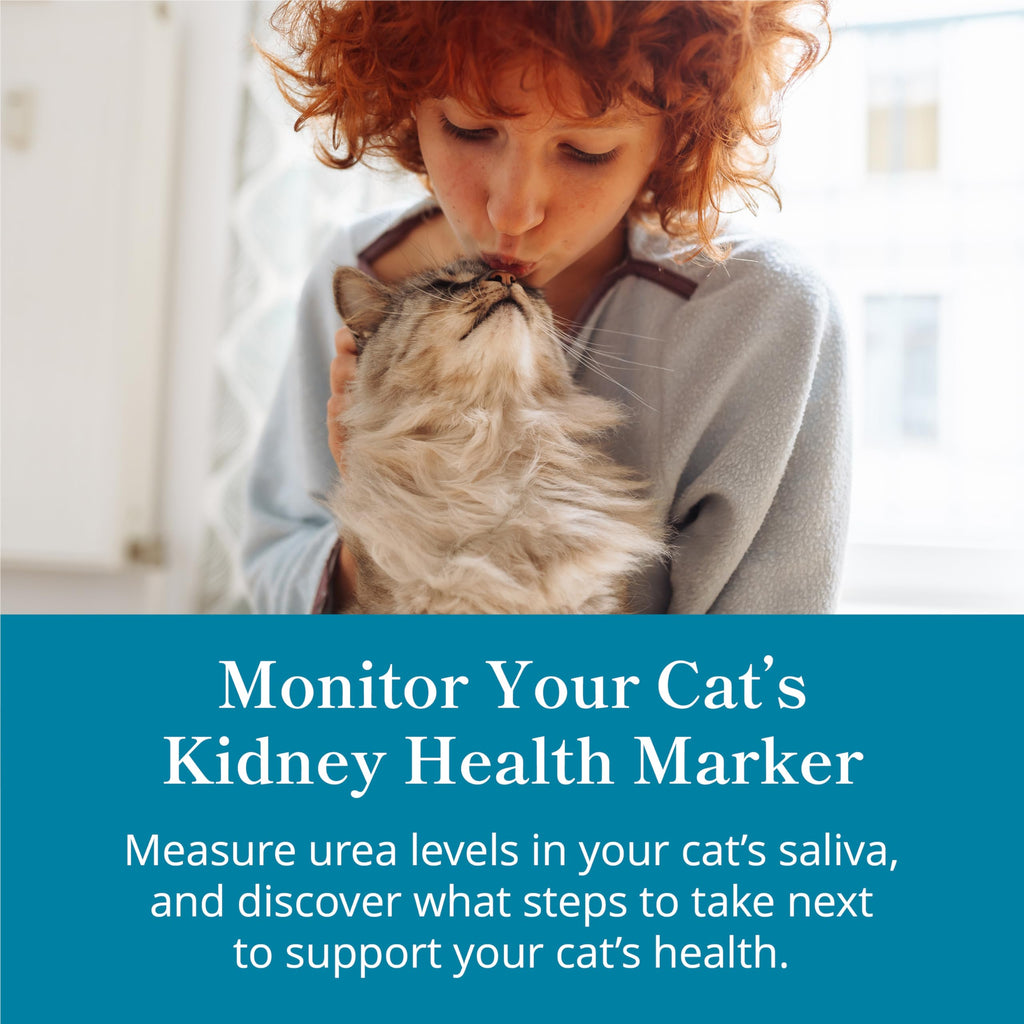 Petivity At-Home Kidney Health Test Kit for Cats — Quick Saliva Urea Test (2-Minute Home Check), Powered by Purina — Help Detect Early Kidney Changes - (Pack of 3) petivity Au supplements