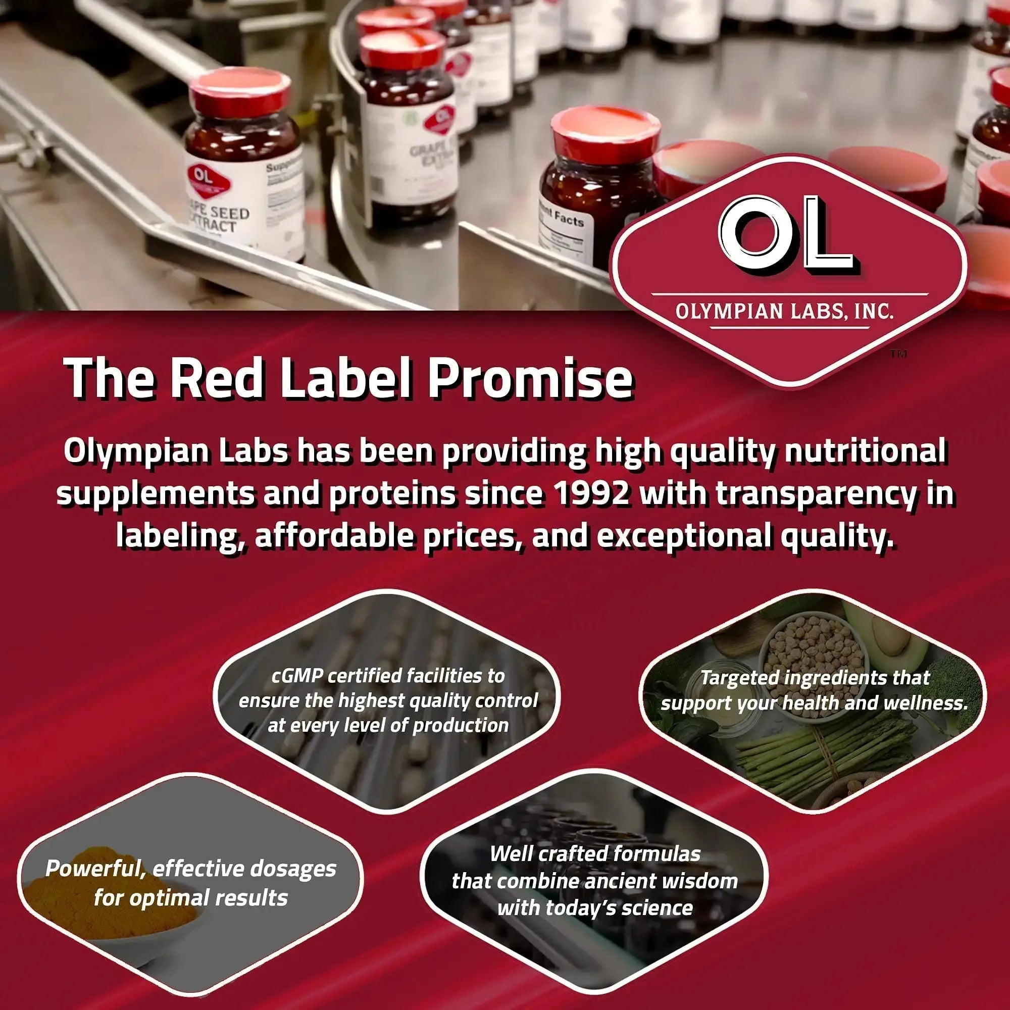 Olympian Labs Complete Prebiotic and Probiotic Supplement - 25 Billion Live Shelf Stable Cultures - 30 Vegetarian Capsules Olympian Labs Au supplements