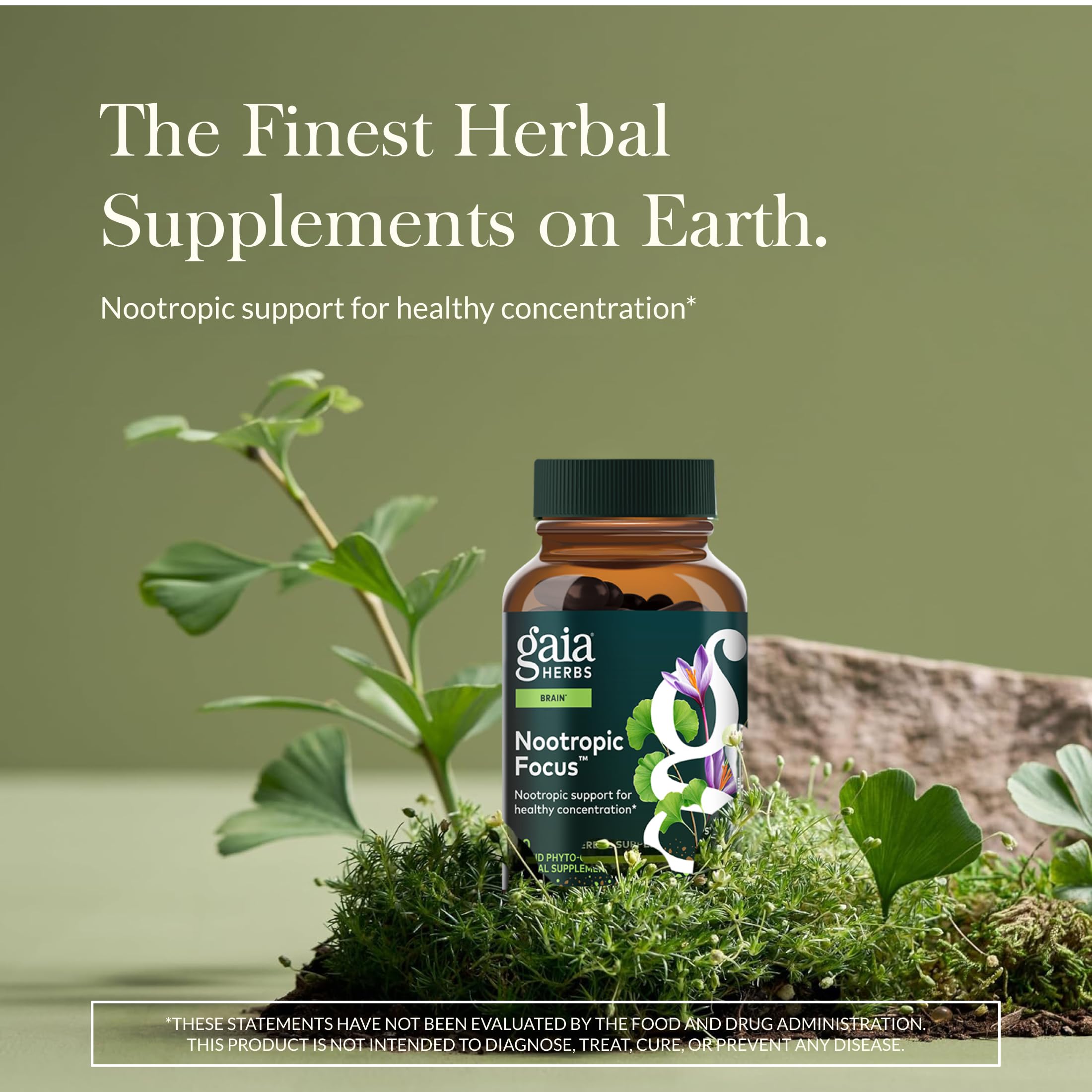 Gaia Herbs Nootropic Focus - Brain & Cognitive Support Supplement to Help Maintain Healthy Concentration* - with Saffron, Lemon Balm & Spearmint - 40 Liquid Phyto-Capsules (20 Servings) Gaia Herbs Au supplements