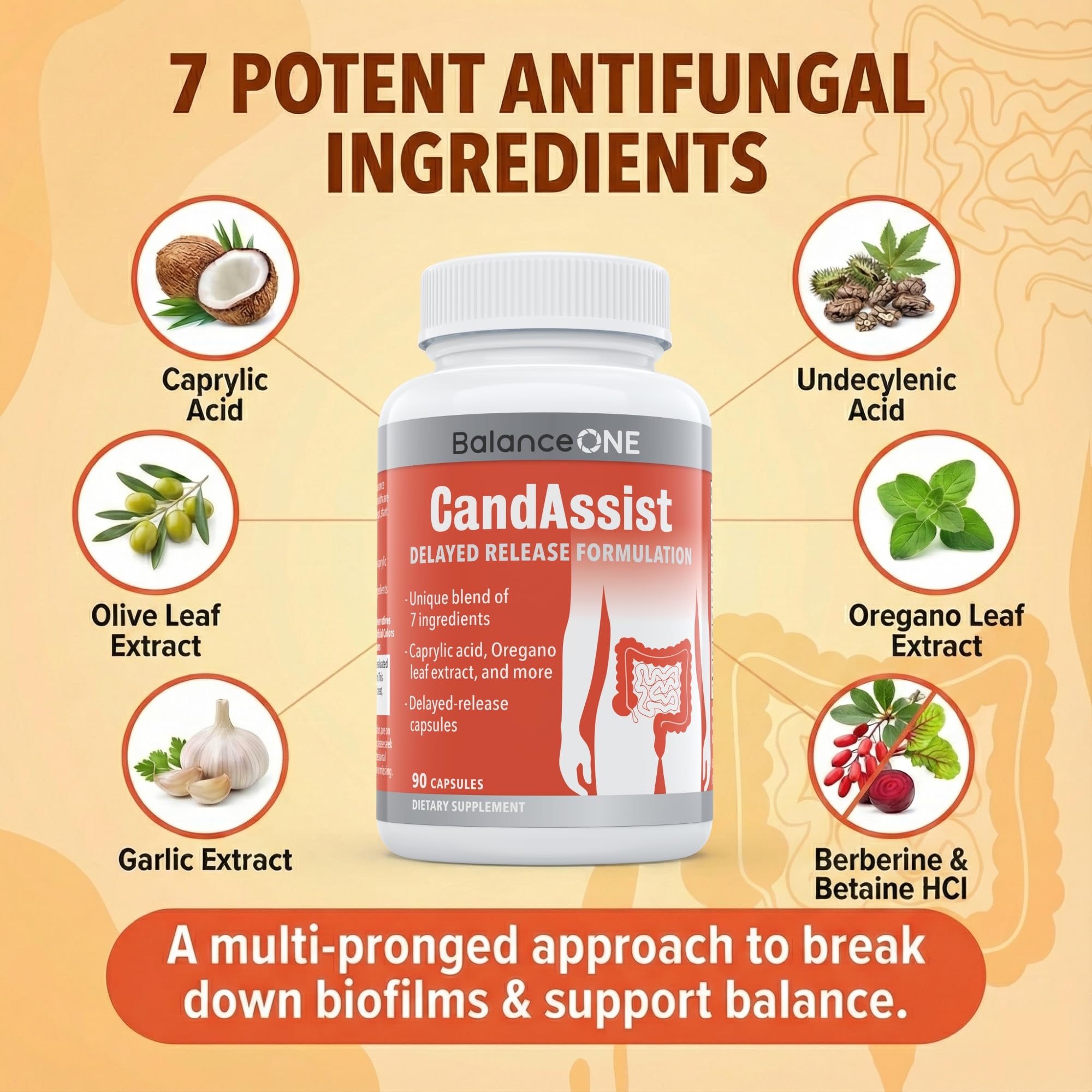 Balance ONE Candida Cleanse & Yeast Support Complex – Caprylic Acid, Undecylenic Acid, Berberine & Oregano Leaf – Gut Flora Balance for Women & Men