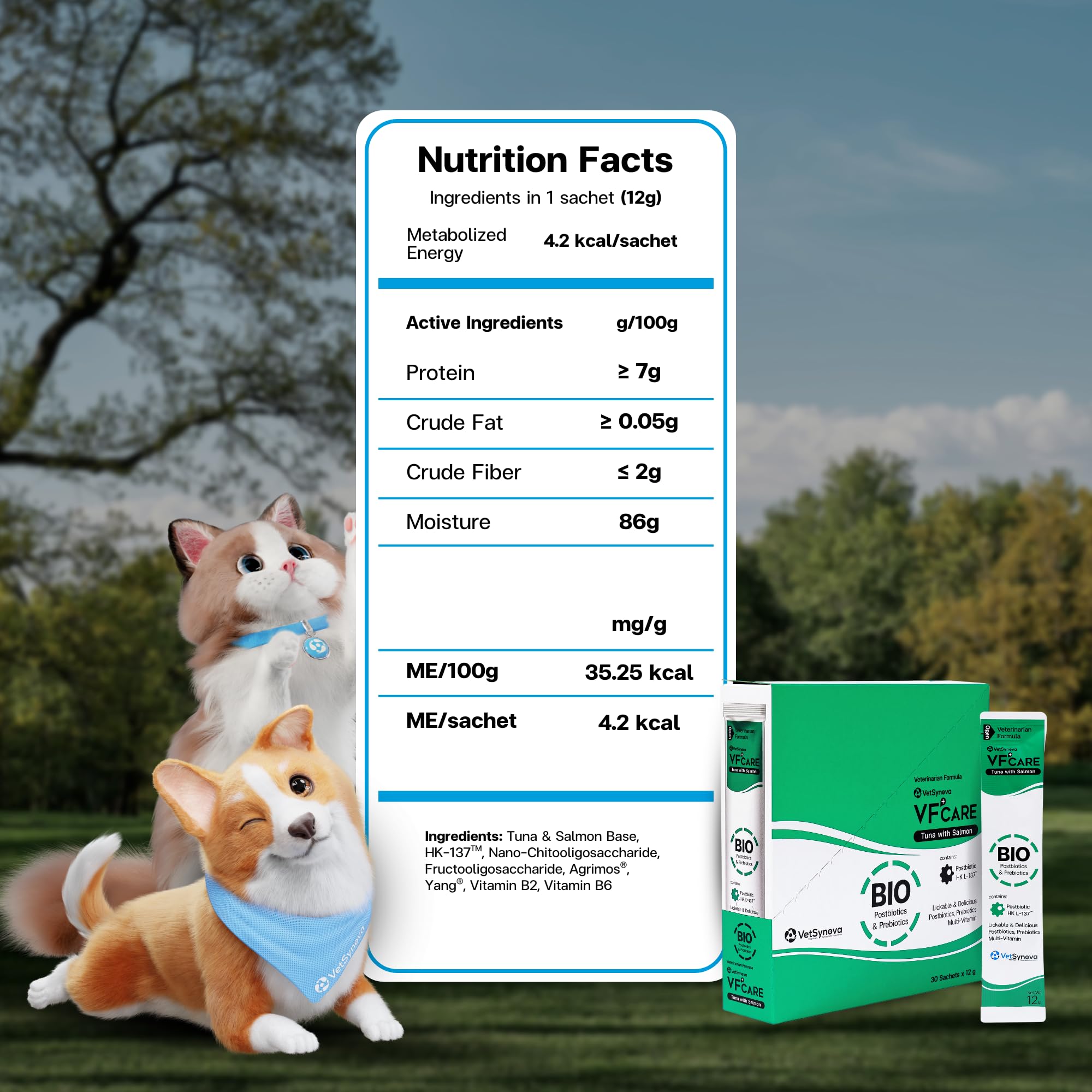 VFcare BIO Supplement for Cats & Dogs – Anti Diarrhea for Dogs, Gut Health Paste with Postbiotics, Prebiotics, FOS, L-137, Yeast Extract – Anti Diarrhea for Dogs, 30 Sachets VFCARE Au supplements