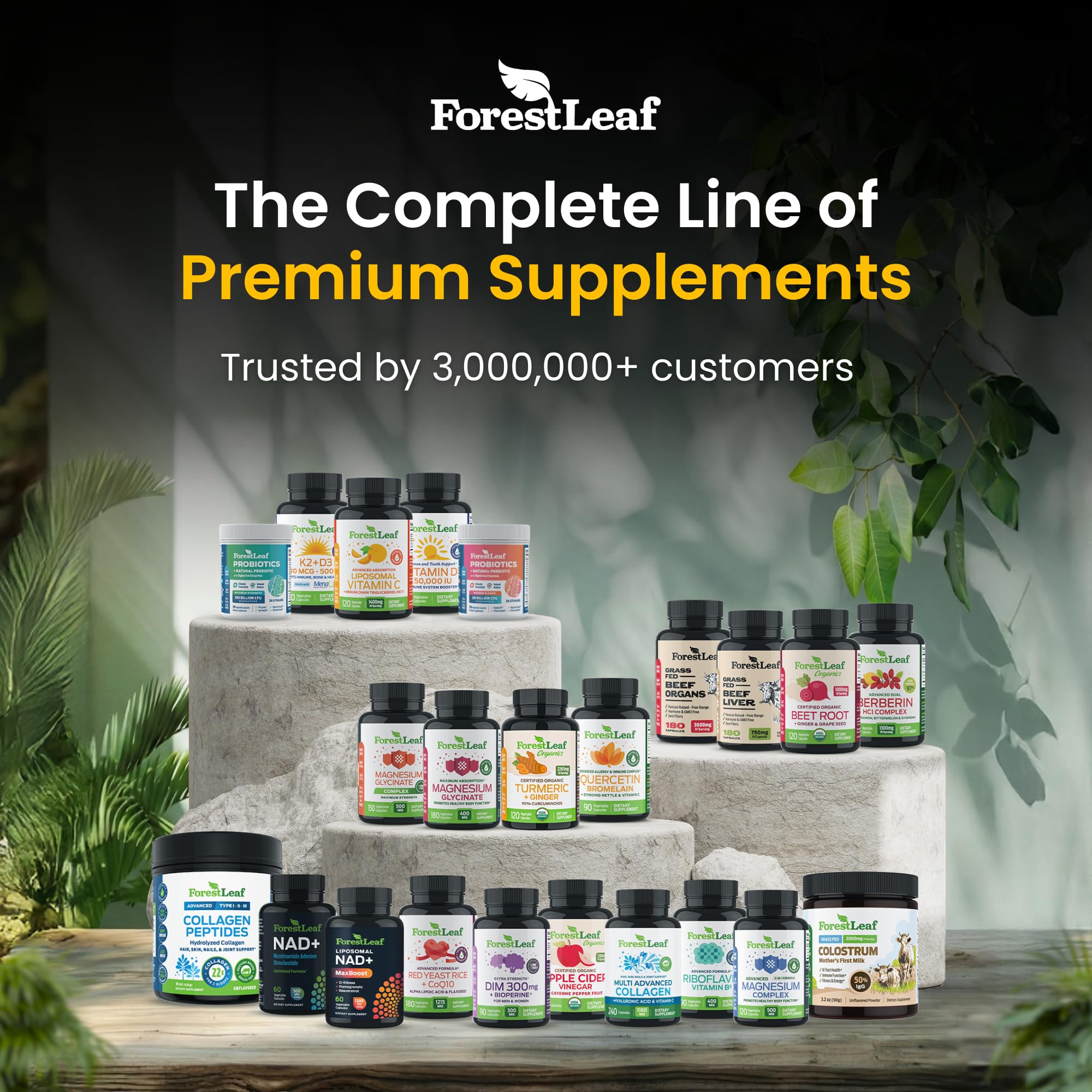 ForestLeaf Micronized Creatine Monohydrate Powder - Maximize Muscle Growth & Strength - Unflavored Creatine for Women and Men