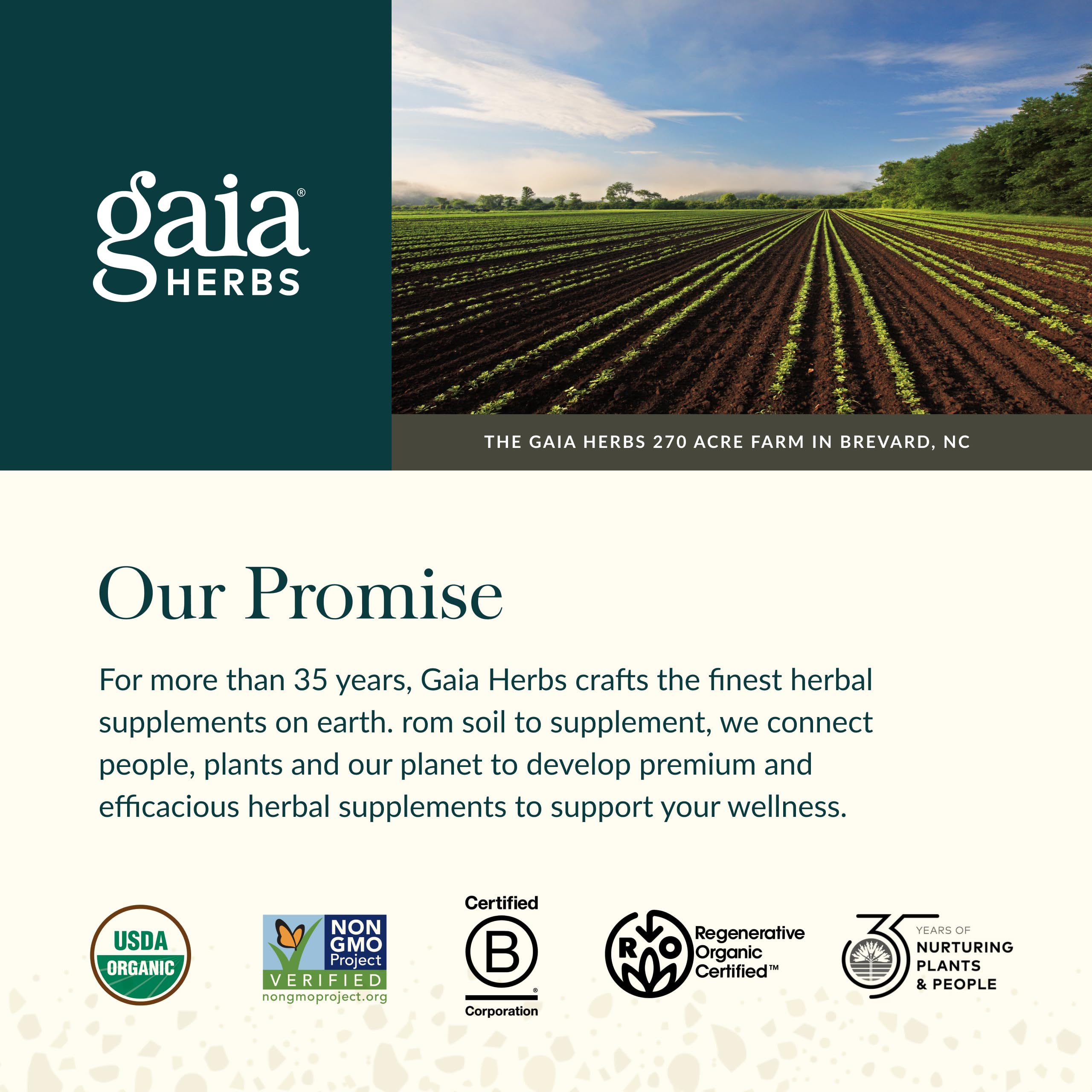 Gaia Herbs Menopause Support Nighttime - Menopause Supplement for Women* - with Black Cohosh, Mimosa, Passionflower & St. John's Wort - 60 Vegan Liquid Phyto-Caps (30 Servings) Gaia Herbs Au supplements