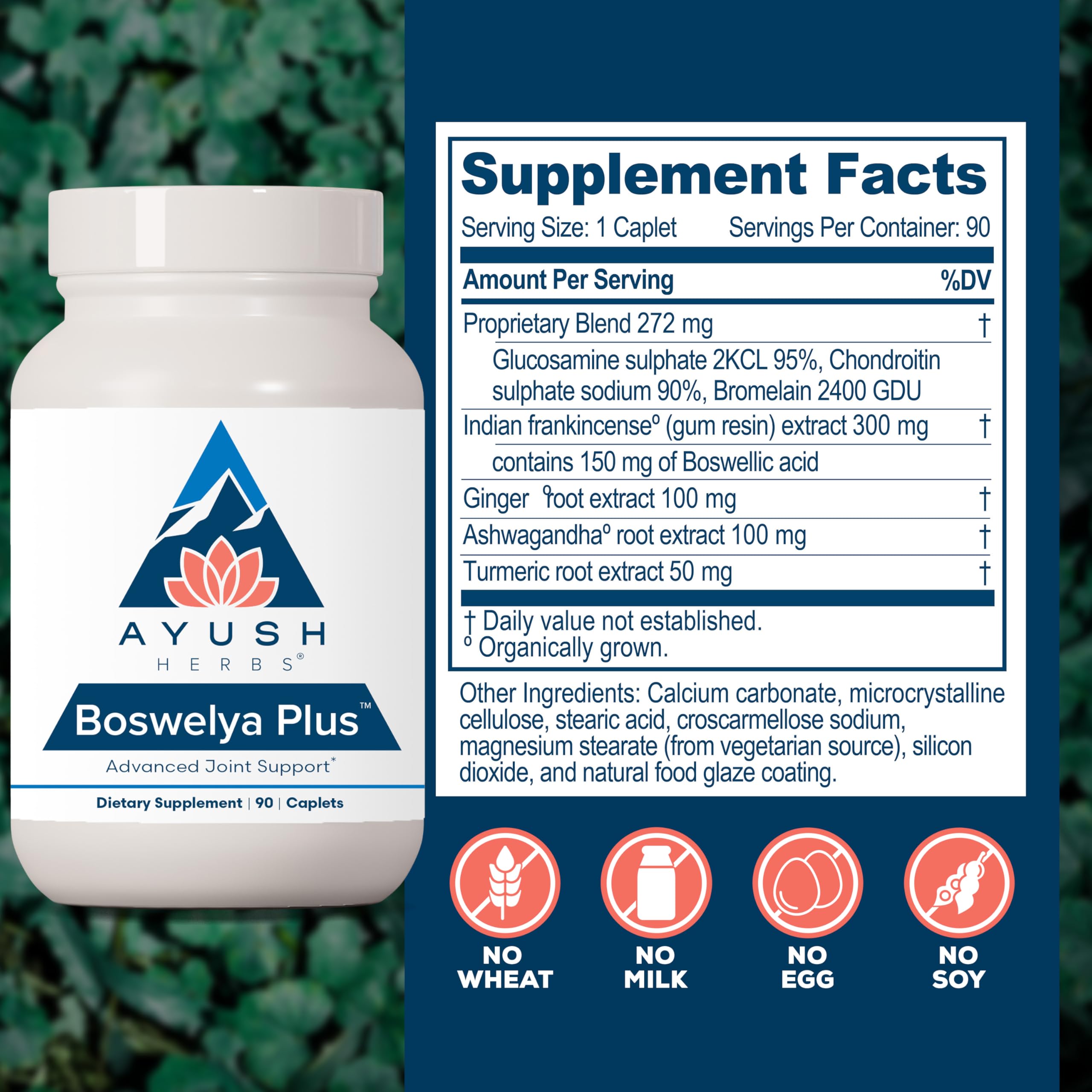 Ayush Herbs Boswelya Plus - Glucosamine Chondroitin Joint Support Supplement, Turmeric Muscle Support for Men & Women, Joint Care with Curcumin - 90 Vegetarian Capsules (1 Count) Ayush Herbs Au supplements
