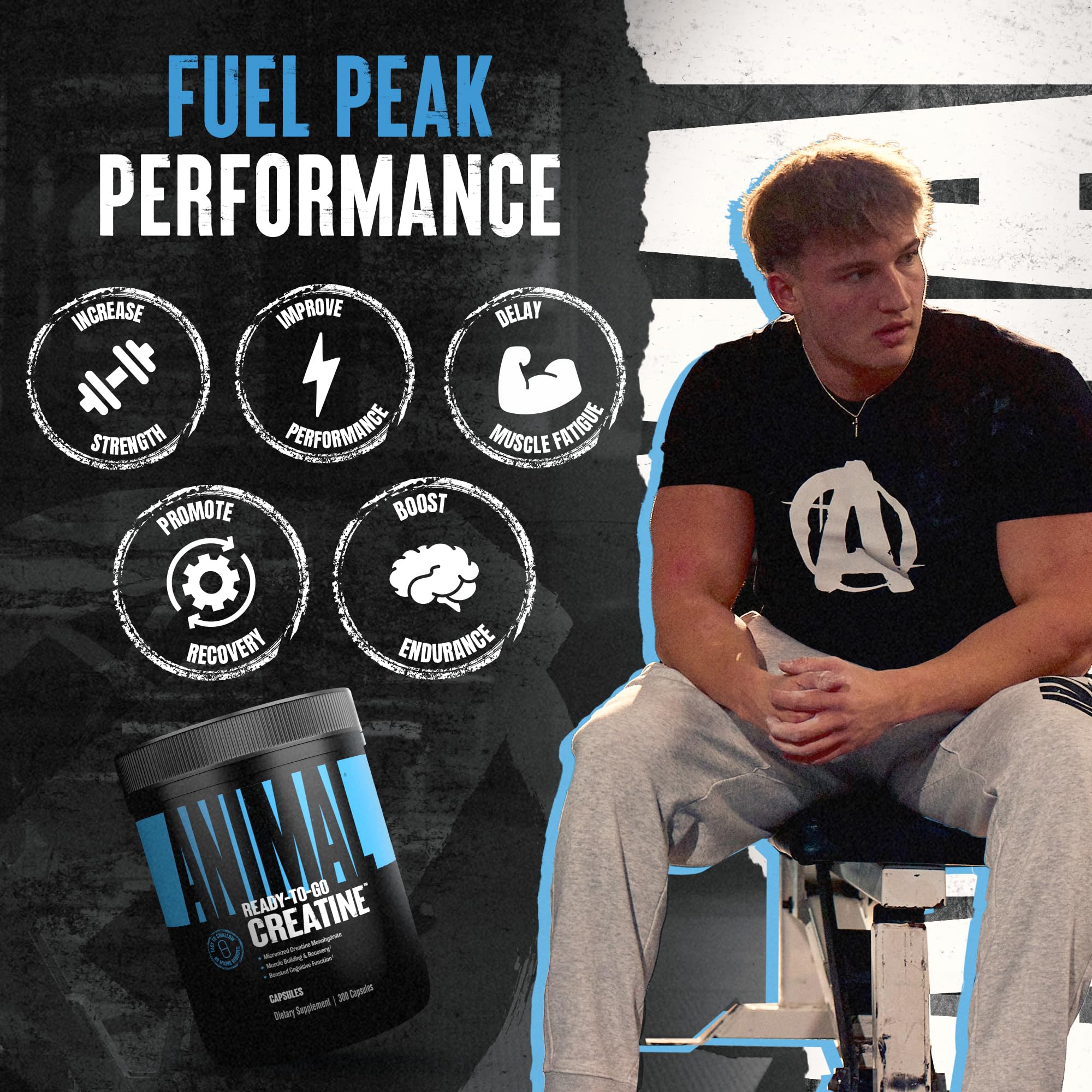 Animal Micronized Creatine Monohydrate Capsules - 300 Caps, 2500mg per Serving to Support Muscle Growth, Endurance, ATP Production, Cognitive Function, Strength