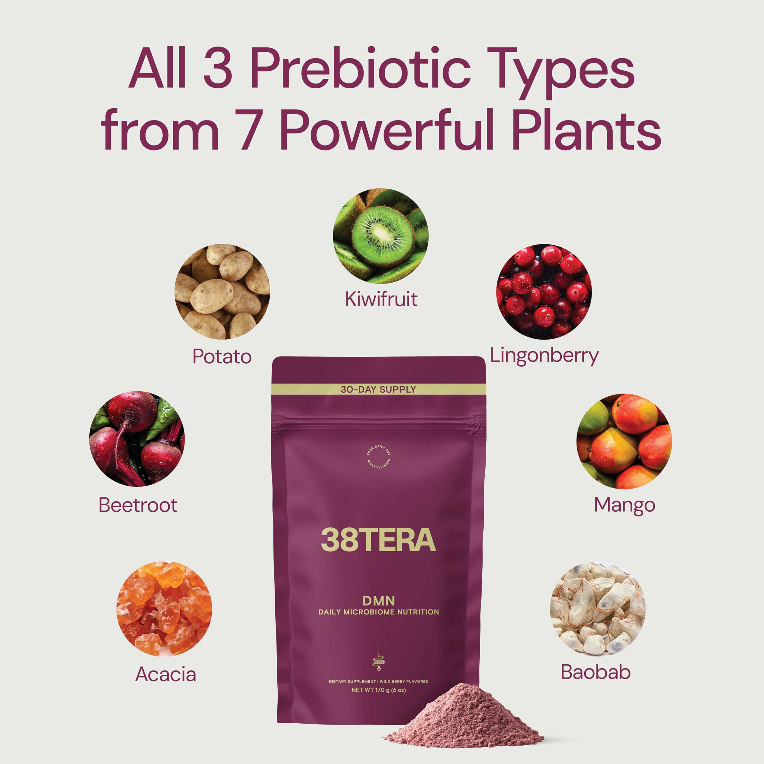 38TERA DMN (Daily Microbiome Nutrition), 6 Oz, Plant-Based Fiber Powder with 3 Different Prebiotics, Helps Digestive & Gut Health, Low FODMAP Supplement, Vegan, Wild Berry Flavor, 30 Servings