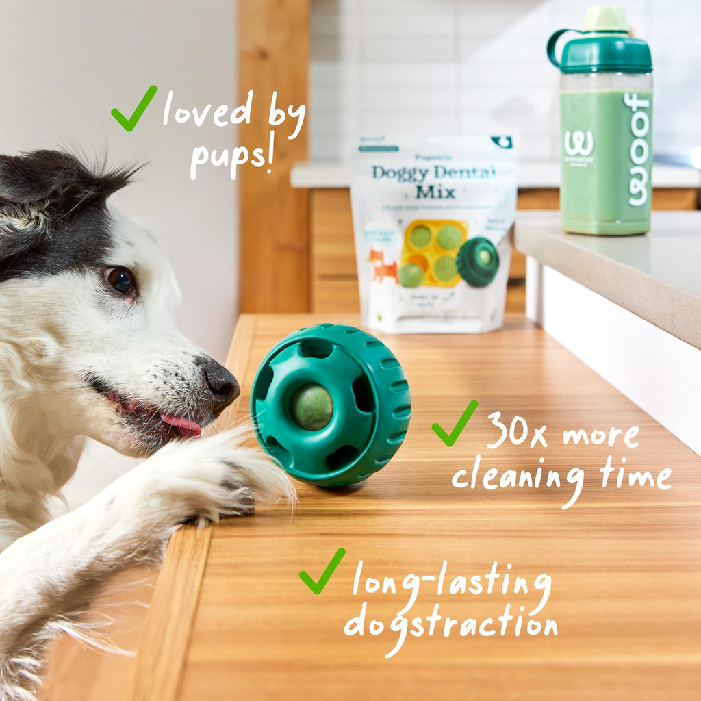 Woof Doggy Dental Pupsicle Mix - Dog Teeth Cleaning Powder for The Pupsicle - Long Lasting Postbiotic Dental Enzyme Mix to Support Oral Health for Dogs WOOF Au supplements
