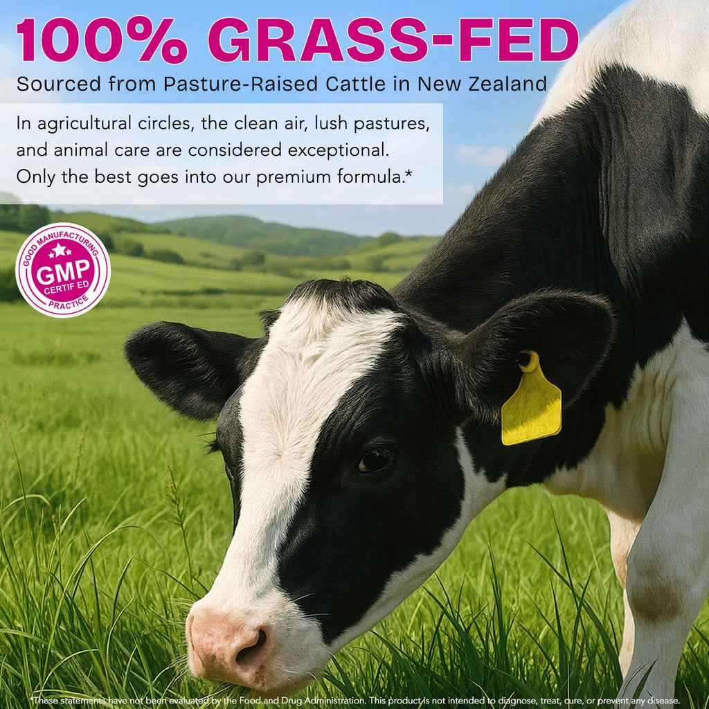 Beef Organ Supplement for Women - Grass-Fed Beef Liver, Kidney, Heart, Uterus, Ovary - Supports Female Energy & Hormone Balance - Pasture Raised in New Zealand