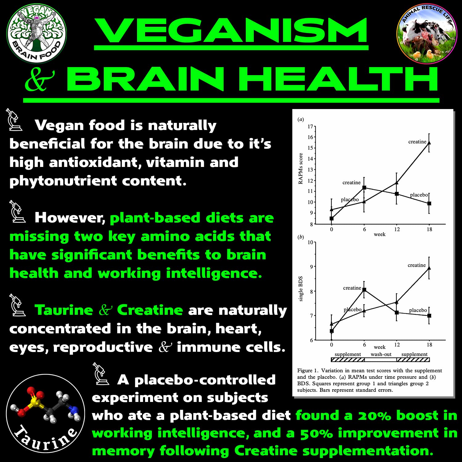Vegan Brain & Body Boost: The Cherry On Top of A Plant-Based Lifestyle | Working Intelligence | Anti-Aging | Physical Fitness | Vegan Amino Acids - Creatine, Taurine & Beta Alanine | 40 Servings/300g Vegan Brain Food Au supplements
