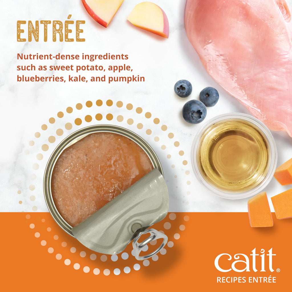 Catit Recipes Adult Chicken Entrée – High-Protein Wet Cat Food with Bone Broth Hydration, Prebiotics & Postbiotics for Gut Health, Omega-3 for Skin & Coat, and Taurine for Heart Support 3oz (12/cs) Catit Au supplements