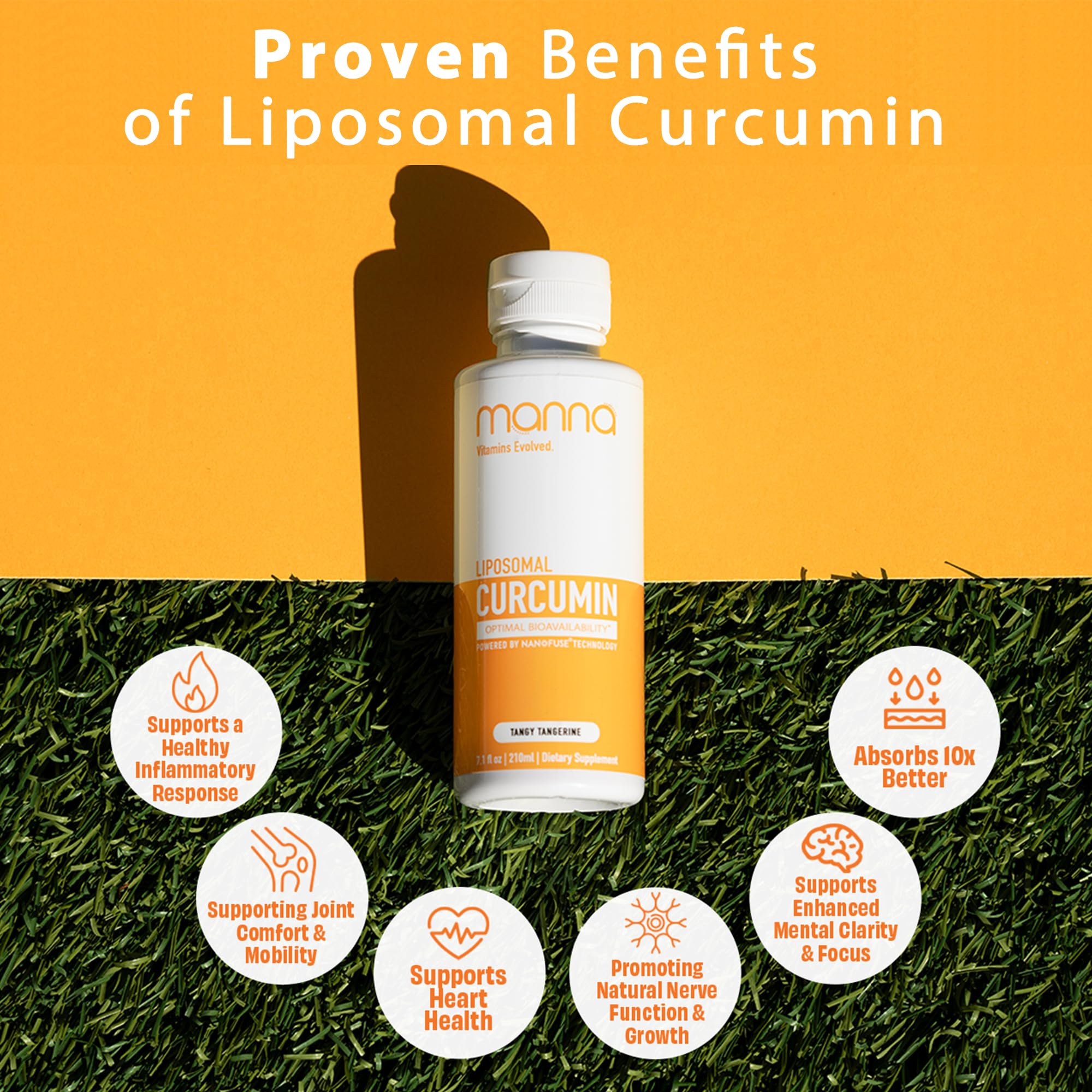 Manna Vitamins Evolved Liposomal Liquid Curcumin for Advanced Absorption Best Turmeric Supplement for Daily Joint & Immune Health Support - Vegan, Non-GMO, 95% Curcuminoids (1 Pack) Manna Vitamins Evolved Au supplements