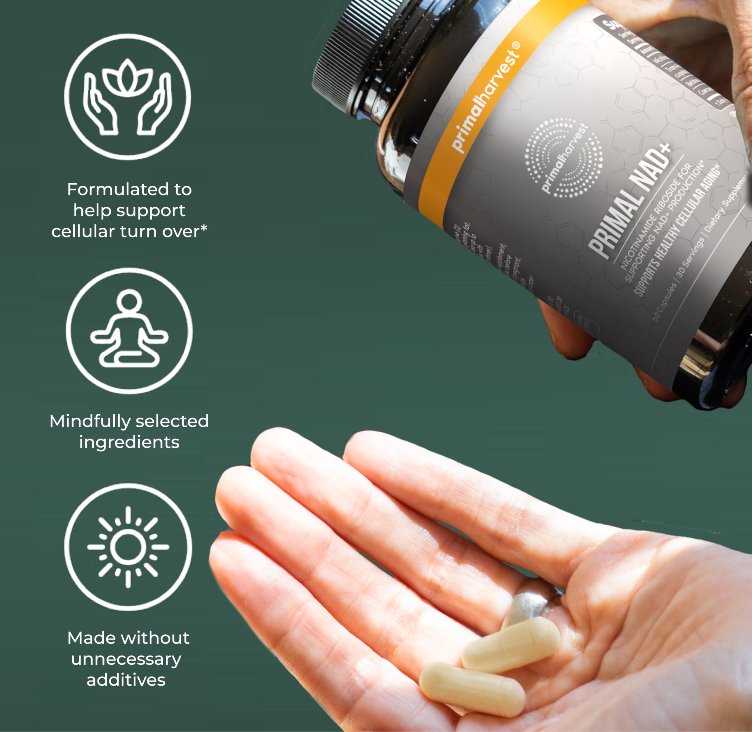 Primal Harvest NAD+ Supplement: Nicotinamide Riboside, Trans-Resveratrol, Betaine, CoQ10, NAD Supplements for Cellular Health, Energy, and Mitochondrial Support Primal Harvest Au supplements