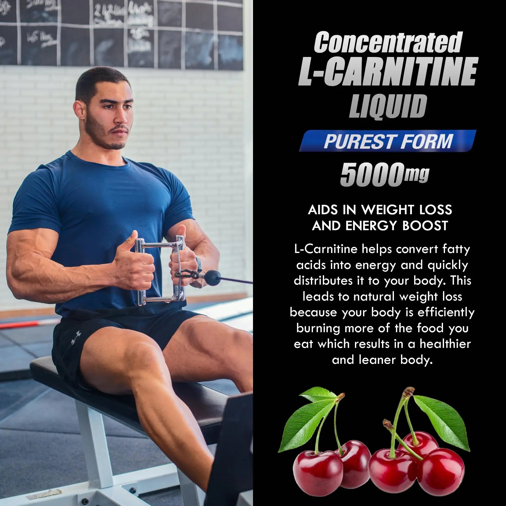 Parker Naturals L-Carnitine 5000 Mg Premium Dietary Supplement Liquid - 16 Oz All Natural Parker Naturals Au supplements