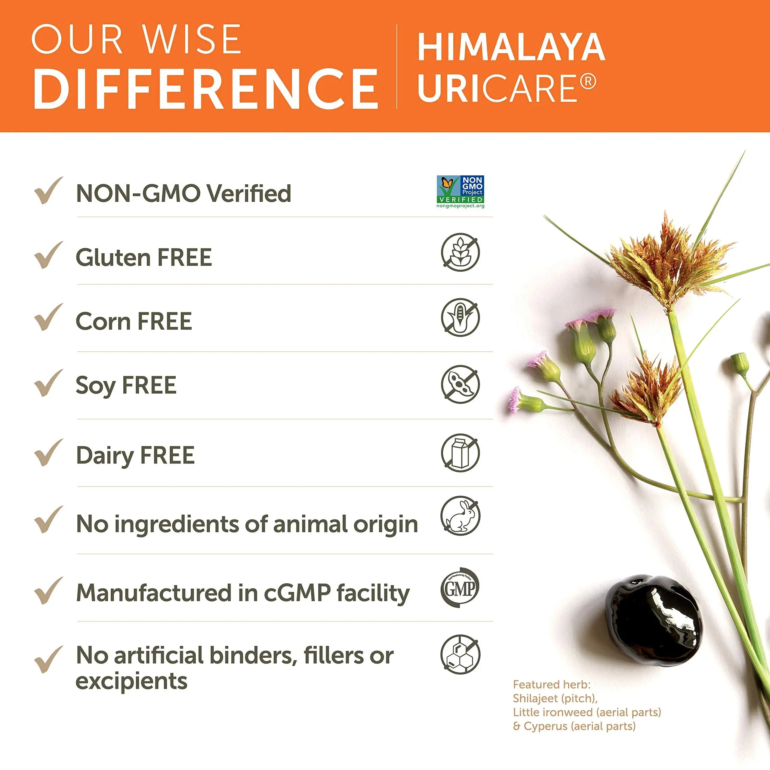 Himalaya UriCare Herbal Supplement, Kidney & Bladder Support, Urinary Tract & Urine Flow Support, Caffeine Free, Non-GMO, Gluten Free, Vegetarian, 240 Capsules, 60 Day Supply Himalaya Au supplements