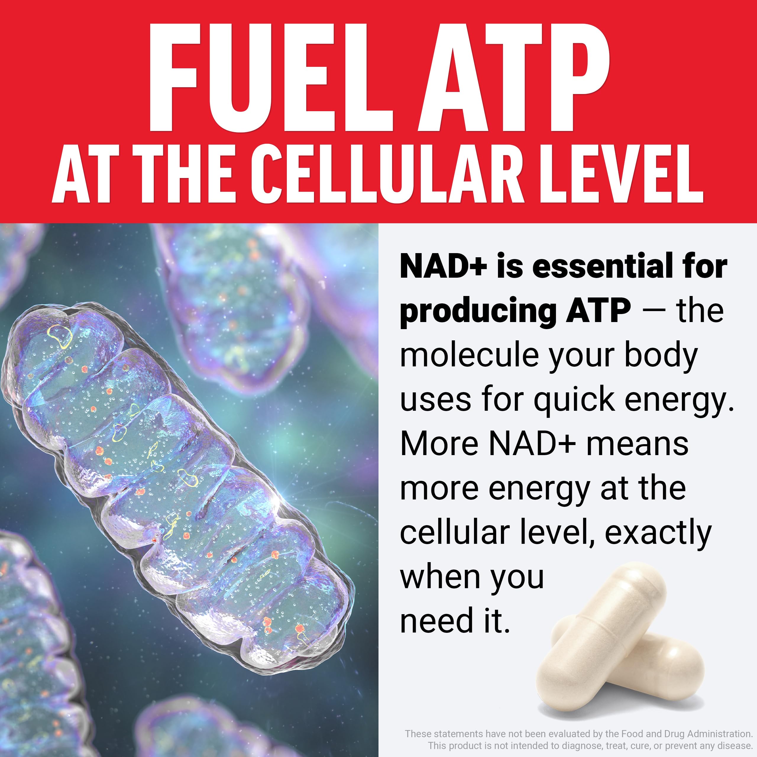 Force Factor NMN Supplement, Nicotinamide Mononucleotide to Support Healthy Aging and Energy Metabolism, Boosts NAD+ Levels, No Gelatin, Non-GMO, 30 Vegetable Capsules Force Factor Au supplements