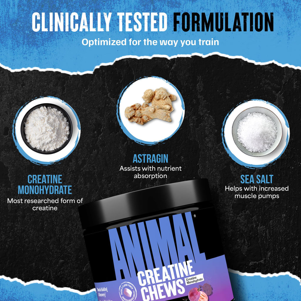 Animal Creatine Chews – 5g Creatine Monohydrate Tablets for Strength, Power & Training Recovery Support – Enhanced Absorption with AstraGin® – Convenient Chewable Format – 120 Tablets Animal Au supplements