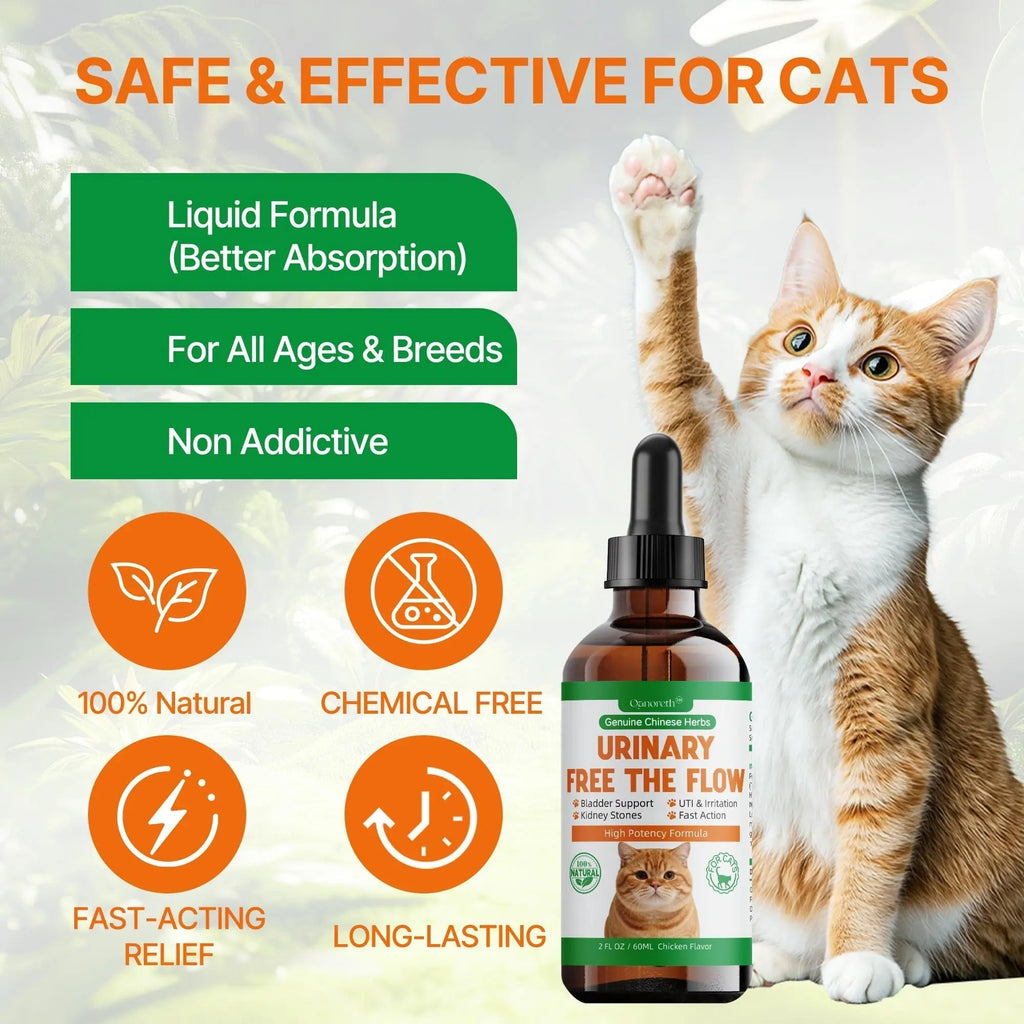 Cat Bladder Remedy for Stones & Crystals, Kidney StonesDissolver forCat- Urinary Free The Flow - Cat Urinary Tract Infection Treatment for Stones, Herbal CatUTI Remedy for Stone Relief & Prevention Qanoreth Au supplements