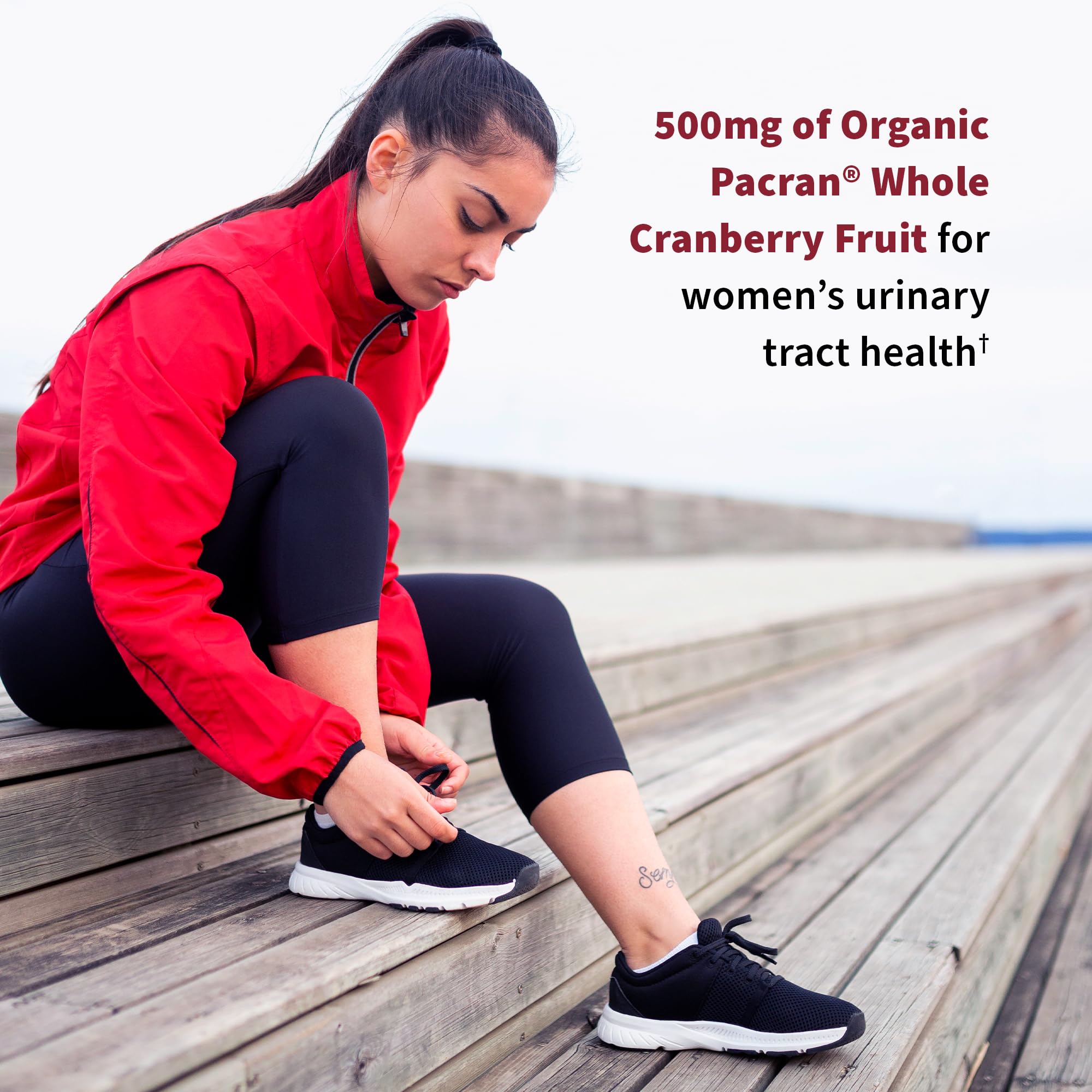 Garden of Life Dr. Formulated Probiotics Urinary Tract+ - 50 Billion CFU - Supports Digestive, Immune & Urinary Tract Health