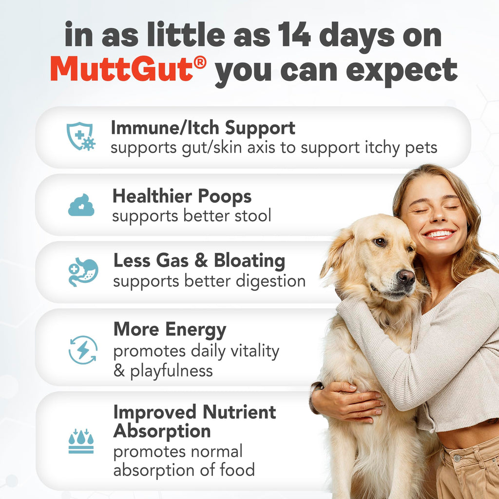 All-Natural 3-in-1 Dog Probiotic, Prebiotic, and Postbiotic Supplement Powder - Probiotics for Dogs with 135 Billion CFUs, Anti Diarrhea, Digestive Enzymes & Antioxidants (60g) MUTTGUT Au supplements