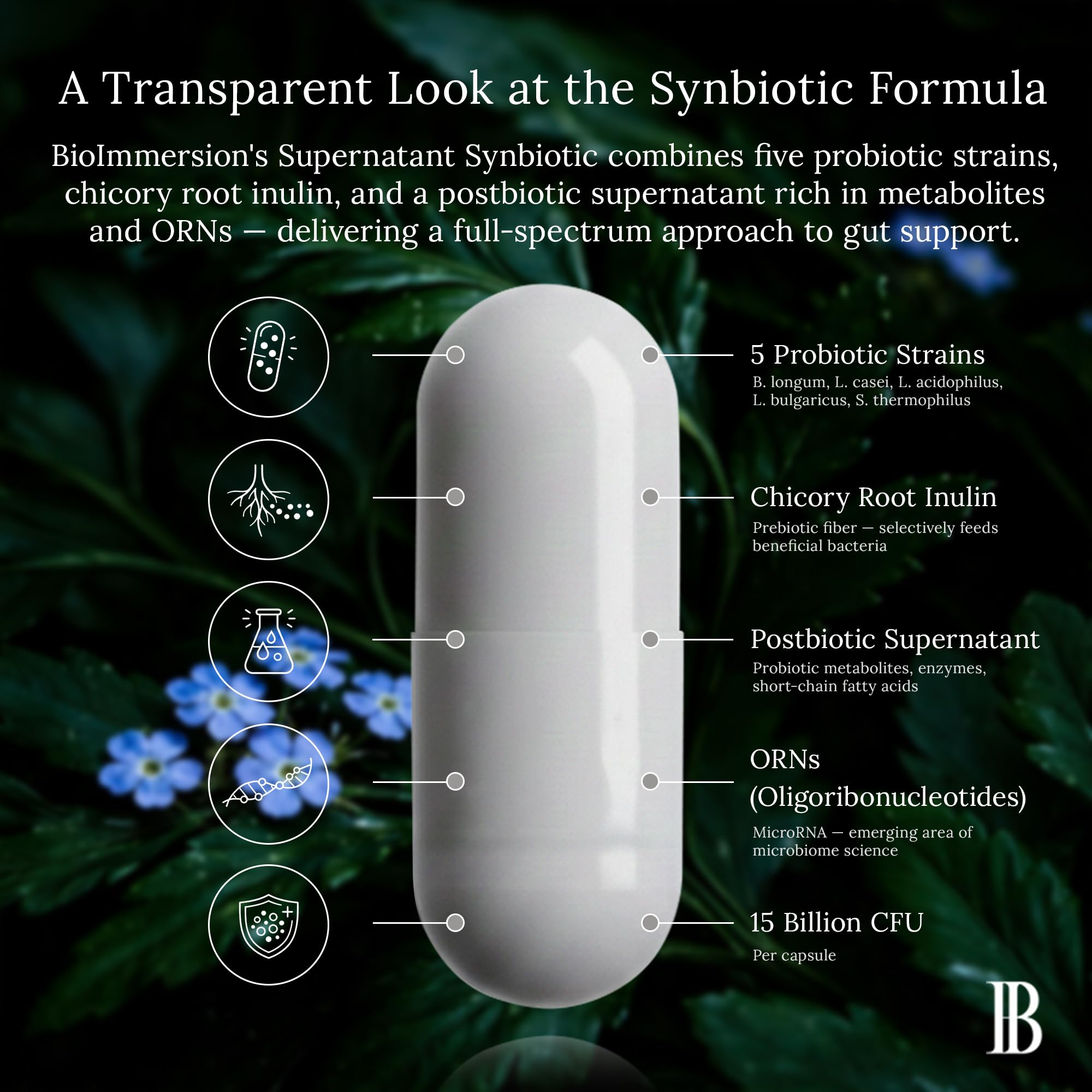 BioImmersion Supernatant Synbiotic - Prebiotic Probiotic Postbiotic - Eases Digestive Discomfort, Gut Imbalance & Yeast Overgrowth - Immune & Microbiome Support