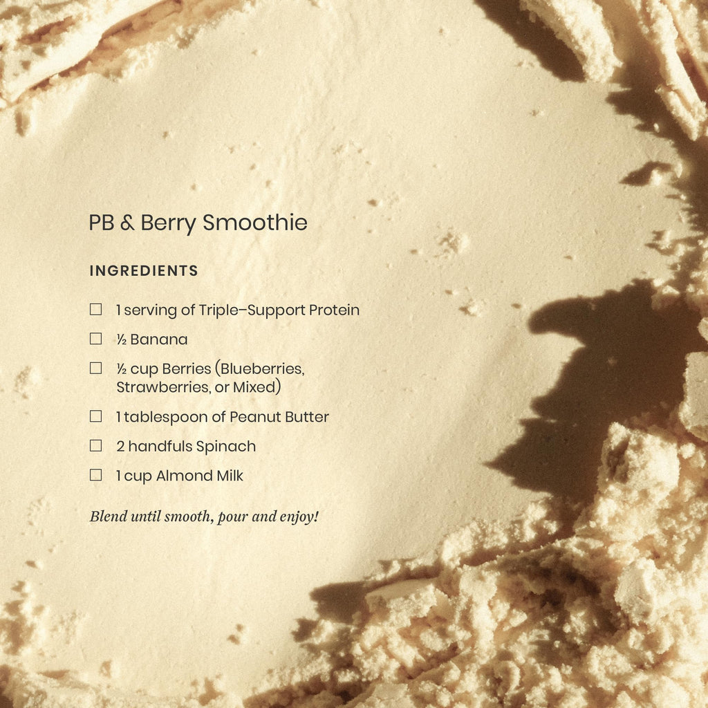 Perelel Triple-Support Plant Based Protein Powder, Creamy Vanilla, 20g Vegan Protein Powder, 3g Creatine Monohydrate, & 5g Prebiotic Fiber per Serving, Dairy Free,