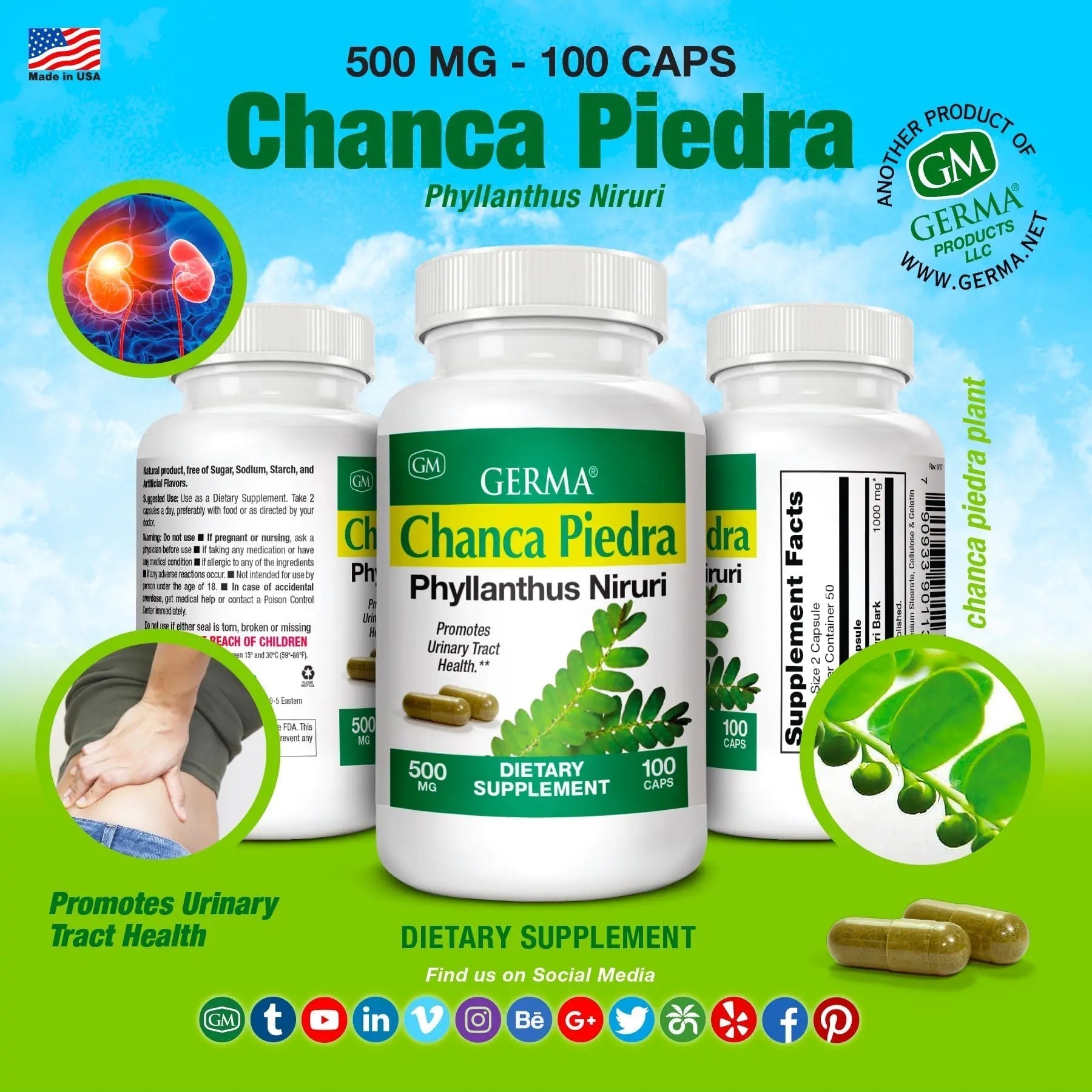 Germa Chanca Piedra Supplement – 500mg Phyllanthus Niruri – Traditional Stone Breaker Herb for Urinary & Kidney Support – Rainforest Botanical – 100% Natural Vegan Capsules, 100 Count Germa Au supplements