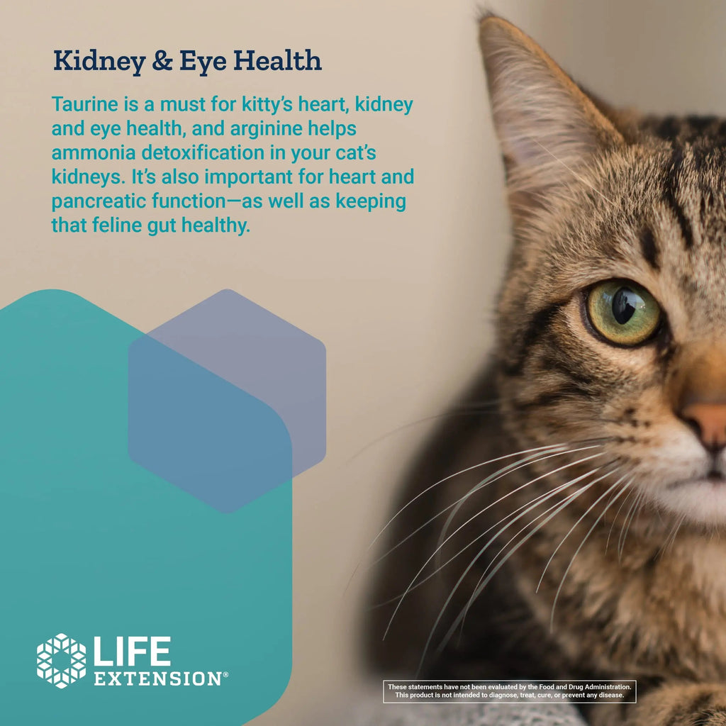 Life Extension Cat Mix – For Heart, Kidney & Pancreatic Function + Gut Health Life Extension Au supplements