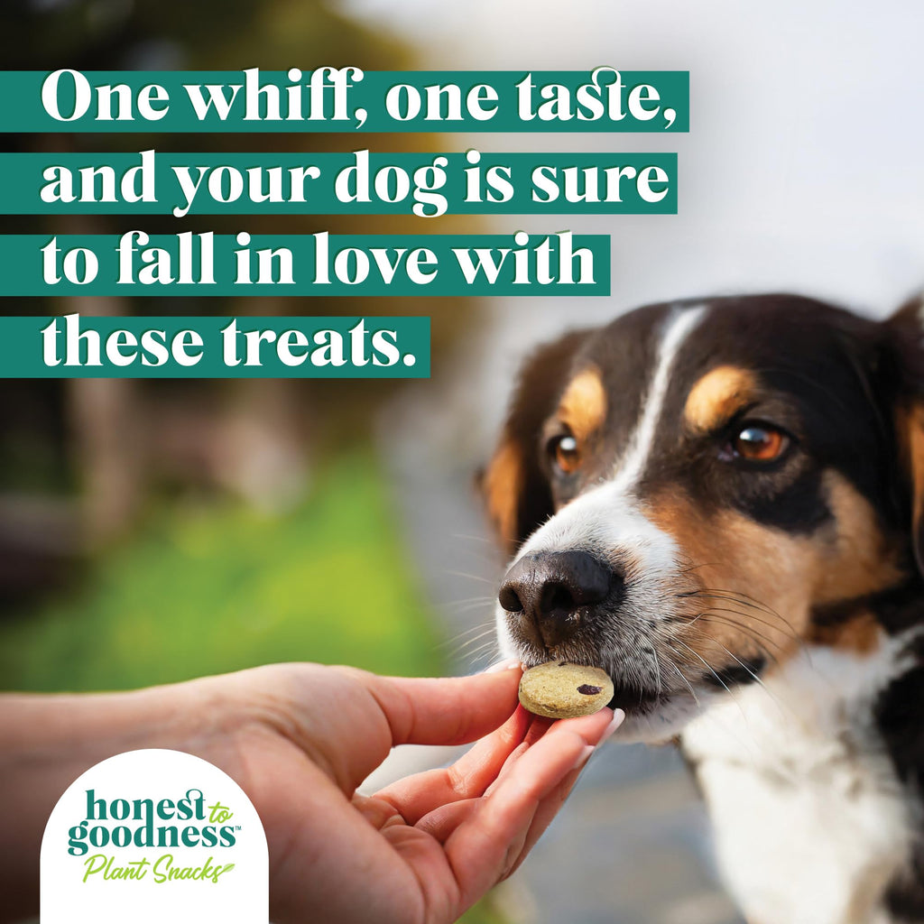 Honest to Goodness Plant Snacks Dog Treats, Enriched with Omega 3s & Postbiotics, 8oz Variety Pack, 6 Bags Honest to Goodness Au supplements