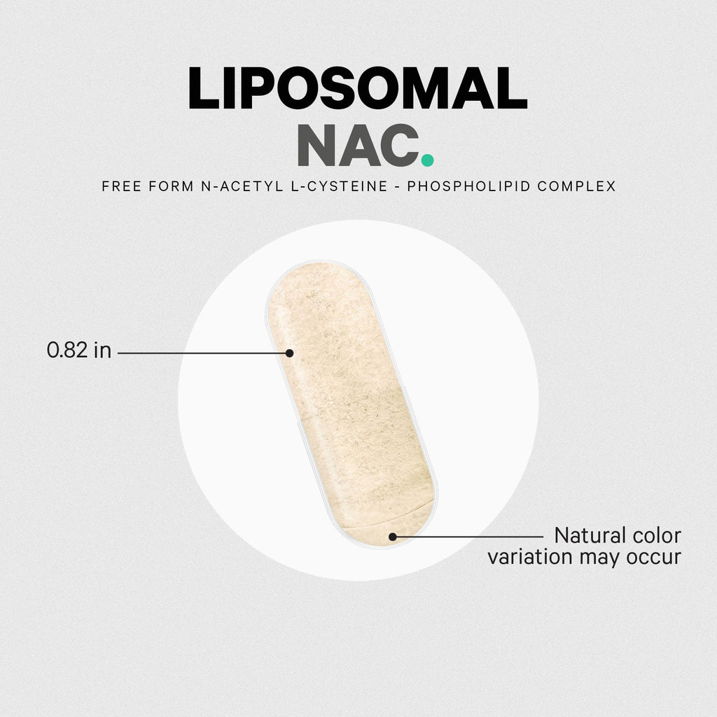 Codeage Liposomal NAC Supplement - N-Acetyl L-Cysteine Amino Acid - 2 Month Supply - Free-Form NAC - Phospholipid Complex - Vegan, Non-GMO, Gluten-Free, Dairy-Free - 120 Capsules Codeage Au supplements