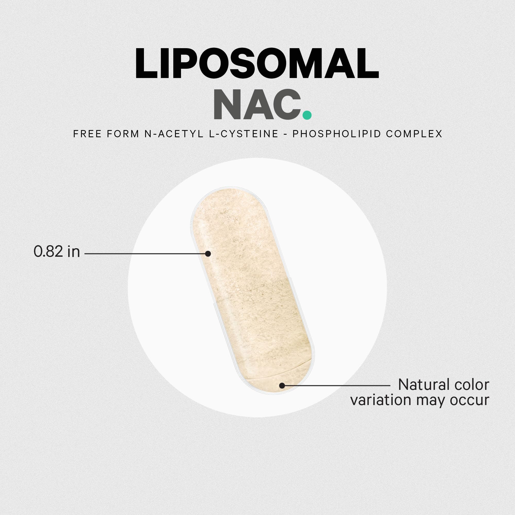 Codeage Liposomal NAC Supplement - N-Acetyl L-Cysteine Amino Acid - 2 Month Supply - Free-Form NAC - Phospholipid Complex - Vegan, Non-GMO, Gluten-Free, Dairy-Free - 120 Capsules Codeage Au supplements