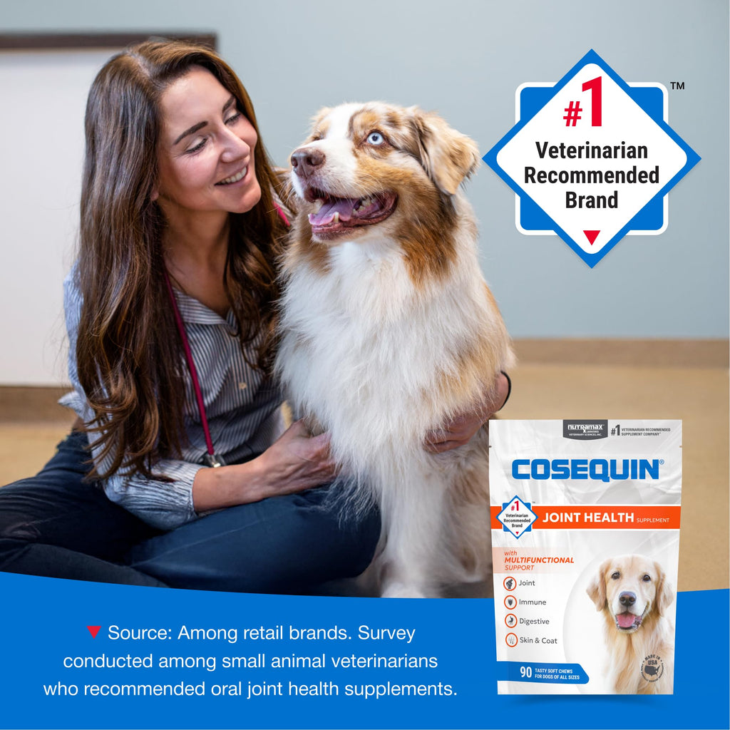 Nutramax Cosequin Joint Health Supplement with Multifunctional Support for Dogs, Soft Chews with Glucosamine, Chondroitin, Omega-3s, and Postbiotics, 90 Count Nutramax Laboratories Au supplements