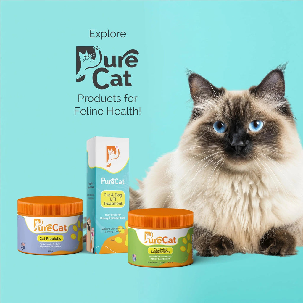 PureCat Urinary Tract Infection Care for Cat & Dog | Calming Urinary Tract & Kidney Support for Pets | Bladder Infection Treatment | UTI Drops | Veterinarian Recommended PureCat Au supplements