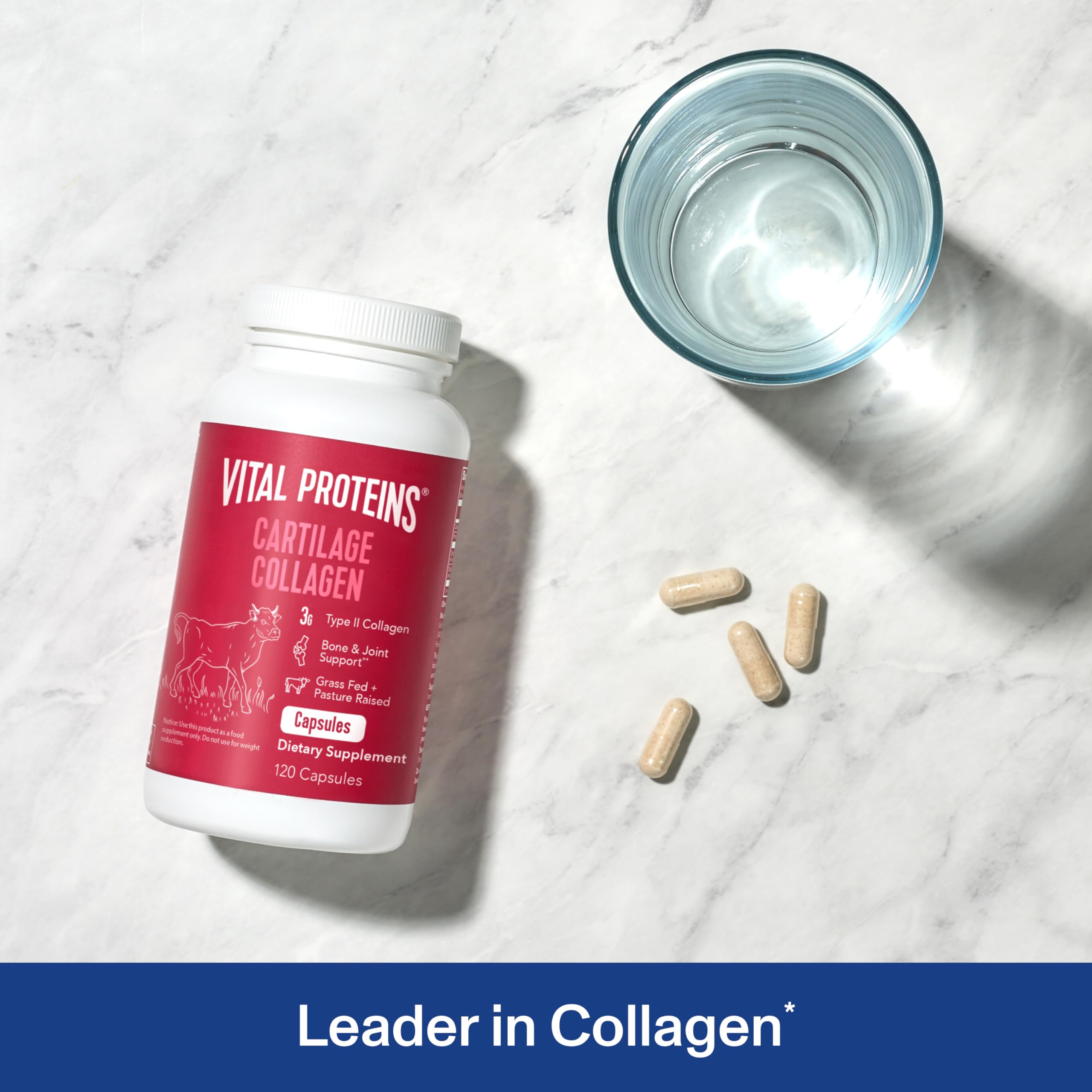 Vital Proteins Cartilage Collagen Pills, Type II Collagen & Chondroitin Sulfate Supplement for Recovery & Healthy Hair, Skin, Nails and Joints