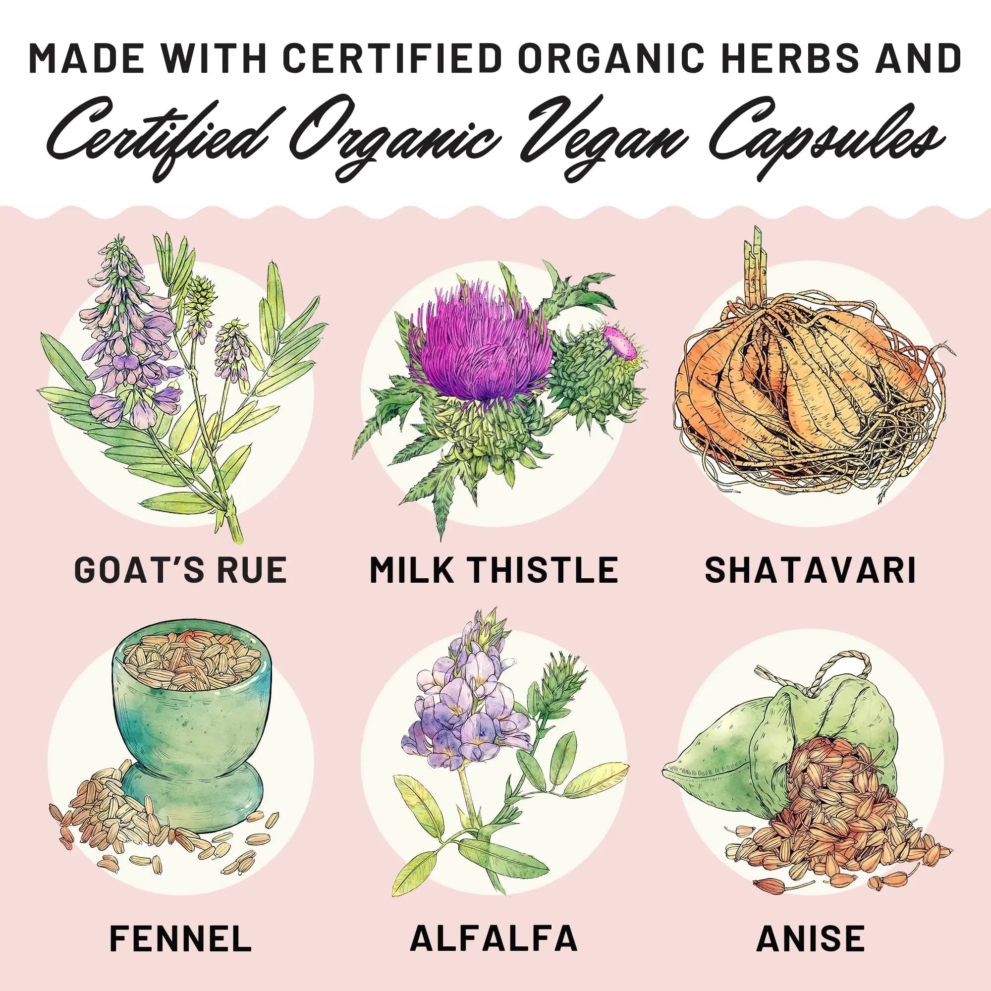 Legendairy Milk Liquid Gold Lactation Supplement, Organic Goat's Rue Lactation Legendairy Milk Au supplements