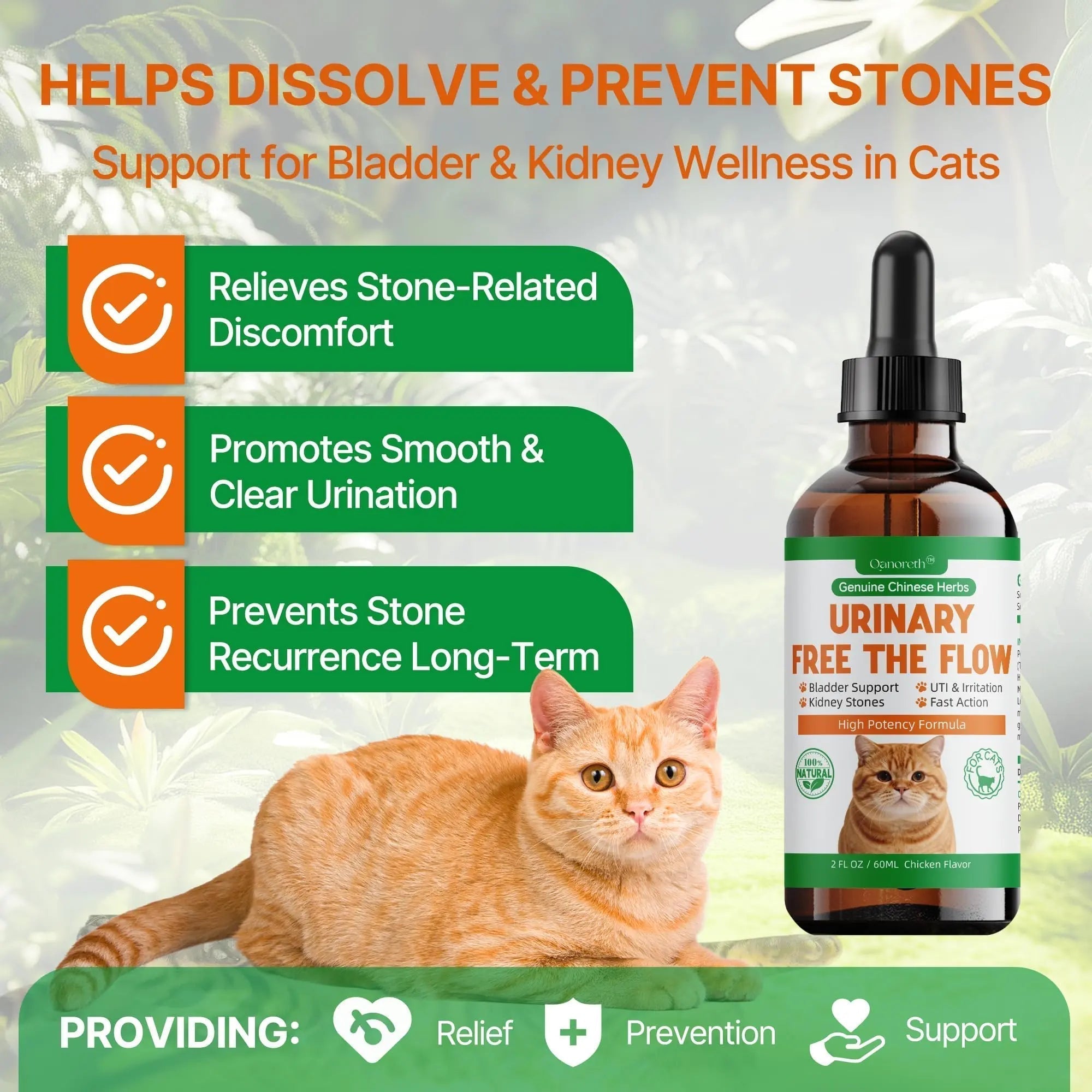 Cat Bladder Remedy for Stones & Crystals, Kidney StonesDissolver forCat- Urinary Free The Flow - Cat Urinary Tract Infection Treatment for Stones, Herbal CatUTI Remedy for Stone Relief & Prevention Qanoreth Au supplements