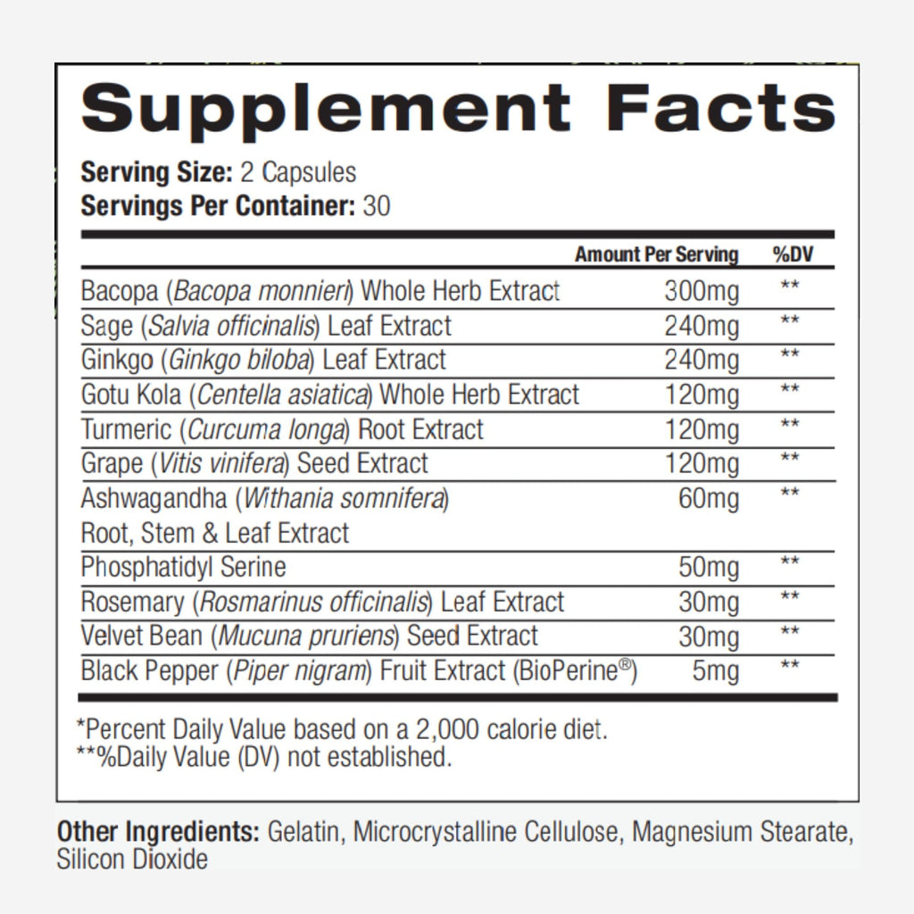 PALO Focus Brain Booster Natural Supplement Nootropic for Memory, Focus, Learning, Reall, Attention and Cognition - Ginkgo Biloba, Bacopa, Gotu Kola, Ashwagandha, Mucuna 60 Capsules PALO Au supplements