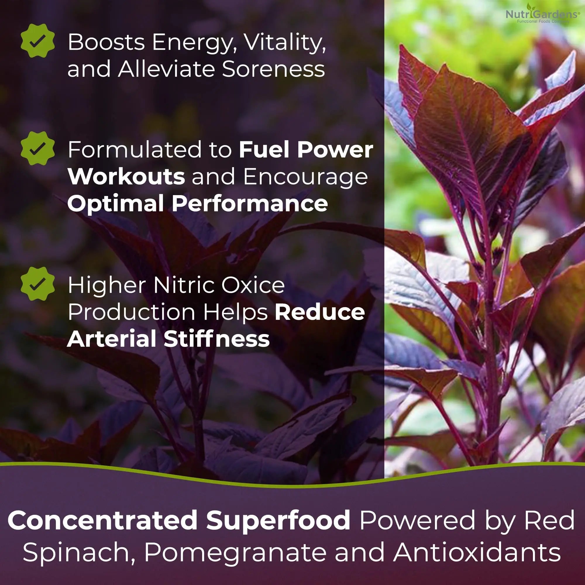 Nutrigardens Spin Boost Nitric Oxide Red Spinach Nitrate Pre-Workout Powder Concentrated Nutrigardens Au supplements