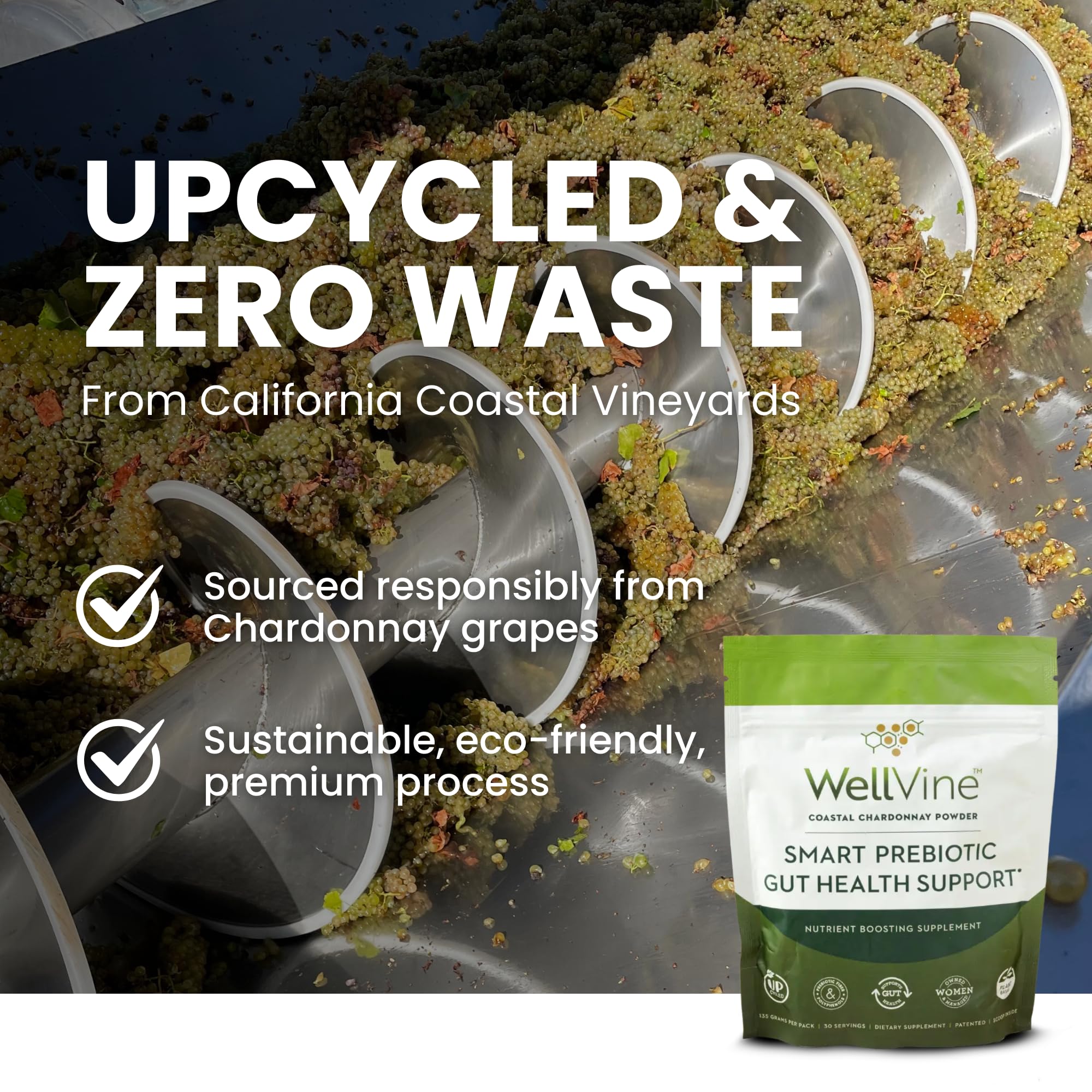 WellVine Premium Smart Prebiotic Gut Health Supplement Powder for Men & Women | Digestive Support & Gut Health With 100% Upcycled Chardonnay Grapes | Plant-Based