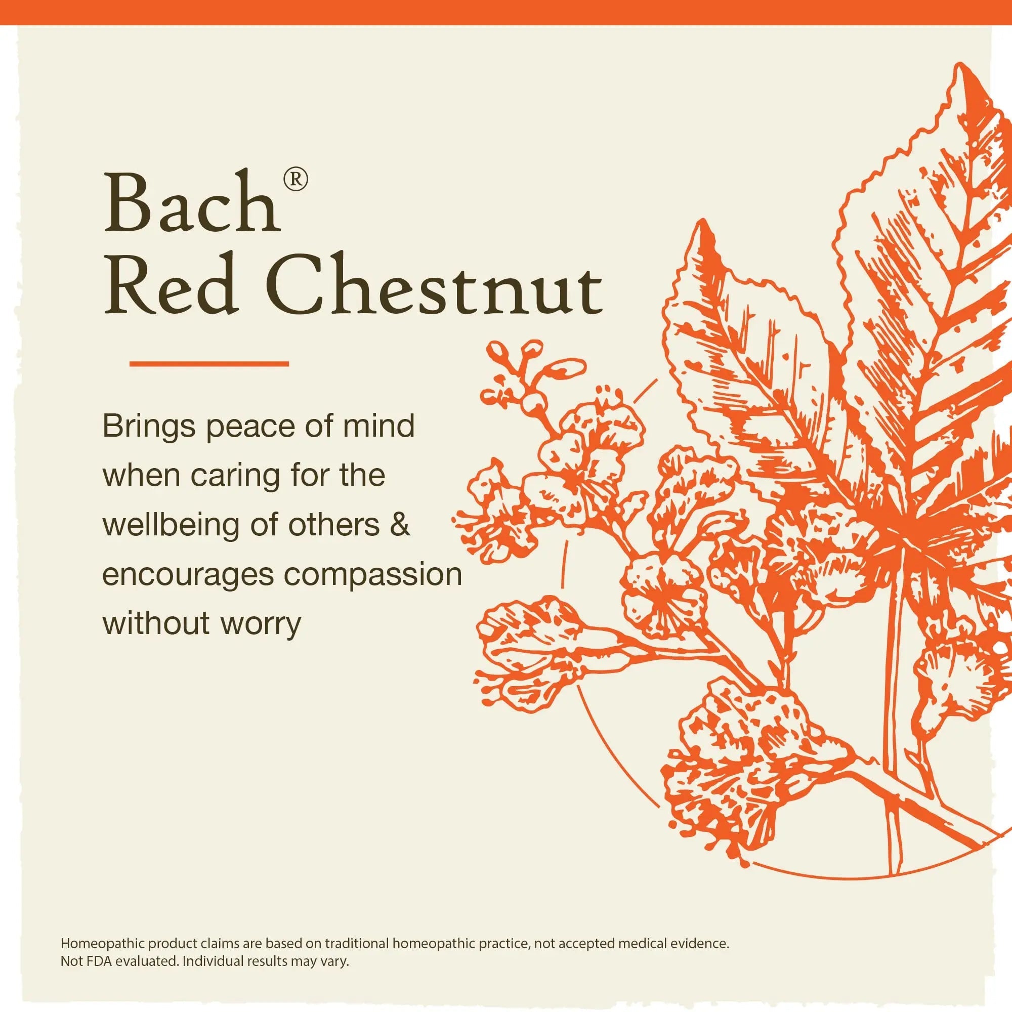 Bach Original Flower Remedies, Red Chestnut for Peace of Mind (Non-Alcohol Formula) Bach Au supplements