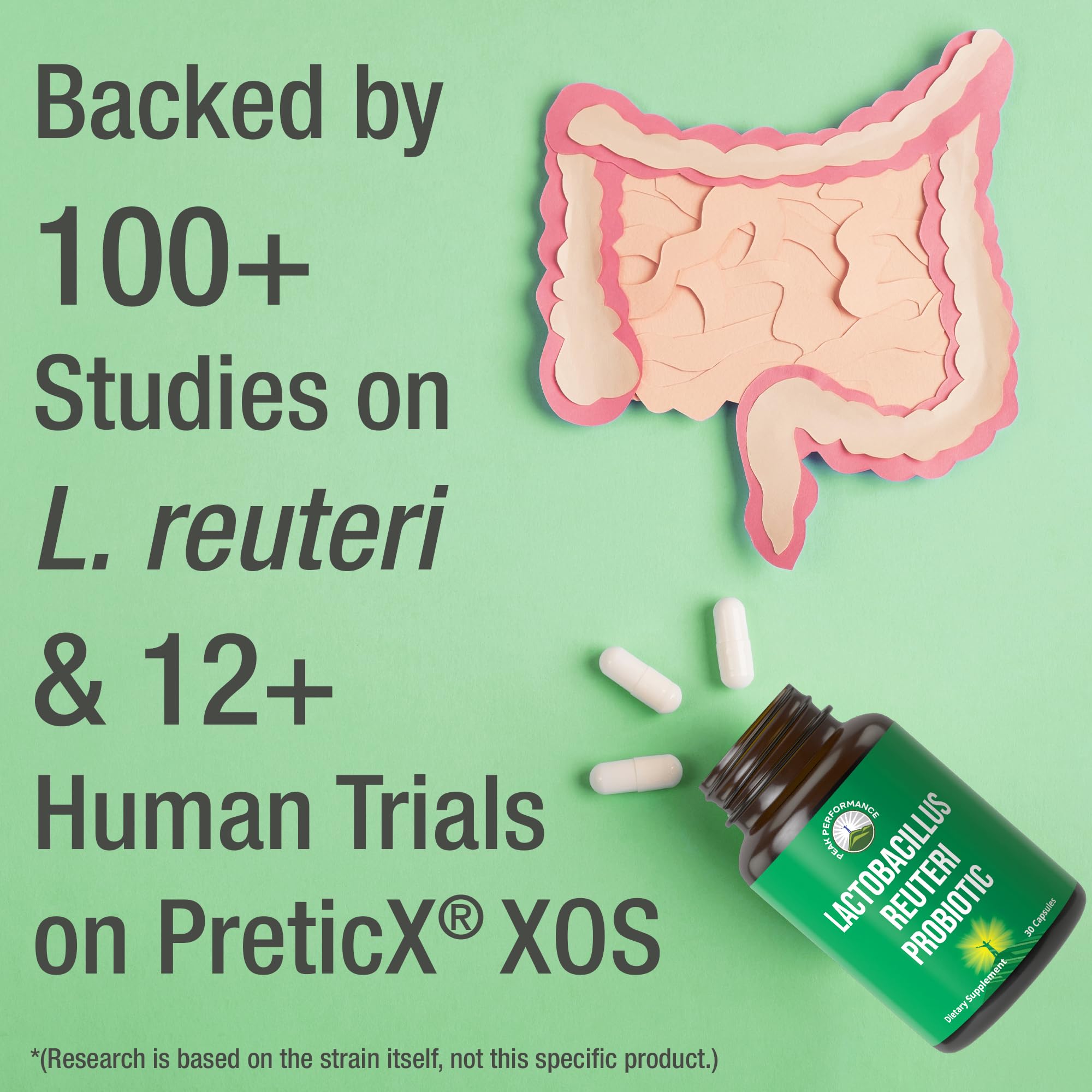 Lactobacillus Reuteri 50 Billion CFU Probiotics with Clinically Studied PreticX® XOS Prebiotic. L Reuteri Probiotic Capsules Supplement for Gut Health and Digestive Support. for Both Women & Men Peak Performance Au supplements