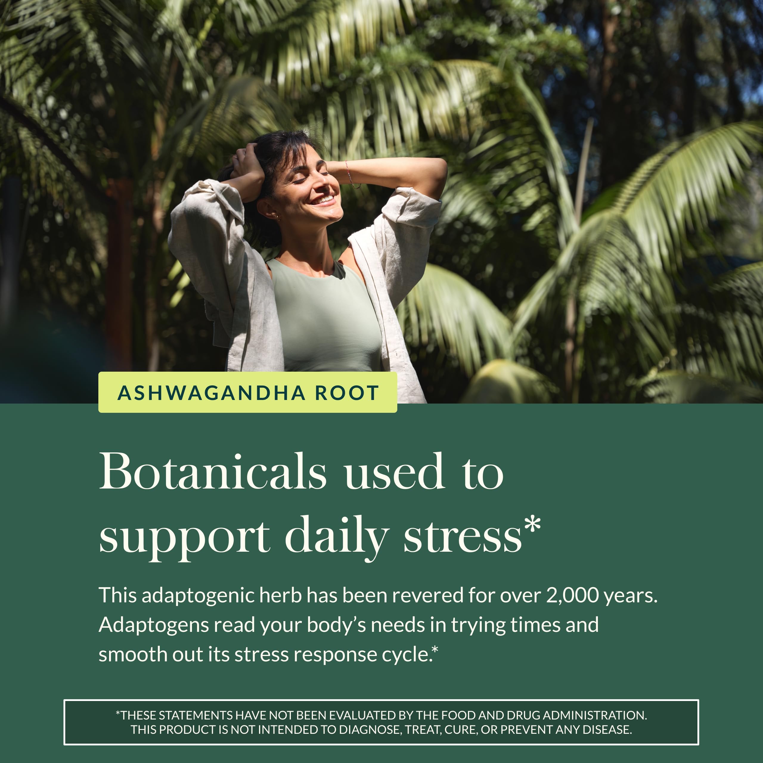 Gaia Herbs Ashwagandha Root - Stress Relief & Sleep Support Supplement - Supports Balanced Energy Levels & Positive Outlook