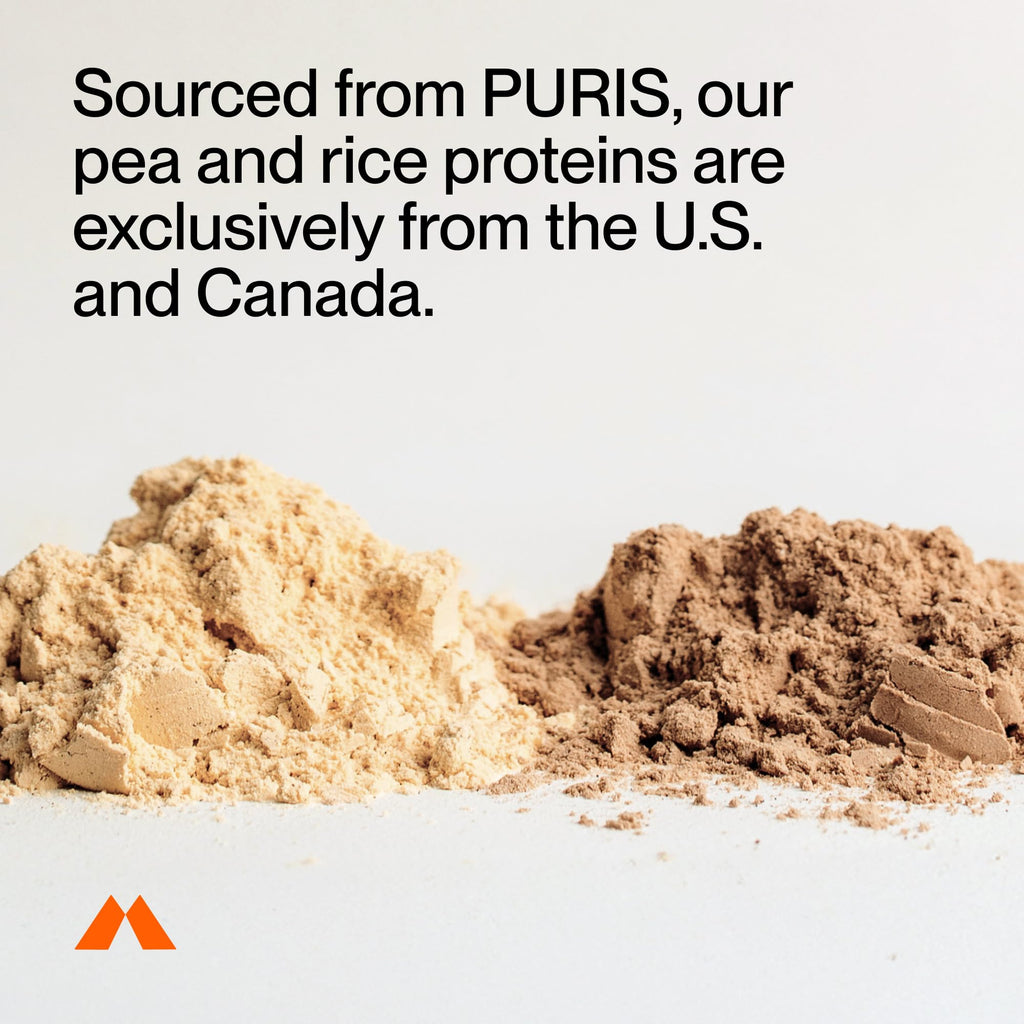 Momentous Vegan Protein Powder - 20 g Plant-Based Protein - NSF Certified for Sport - Gluten-Free - Non-GMO - 22 Servings for Essential Everyday Use - Chocolate